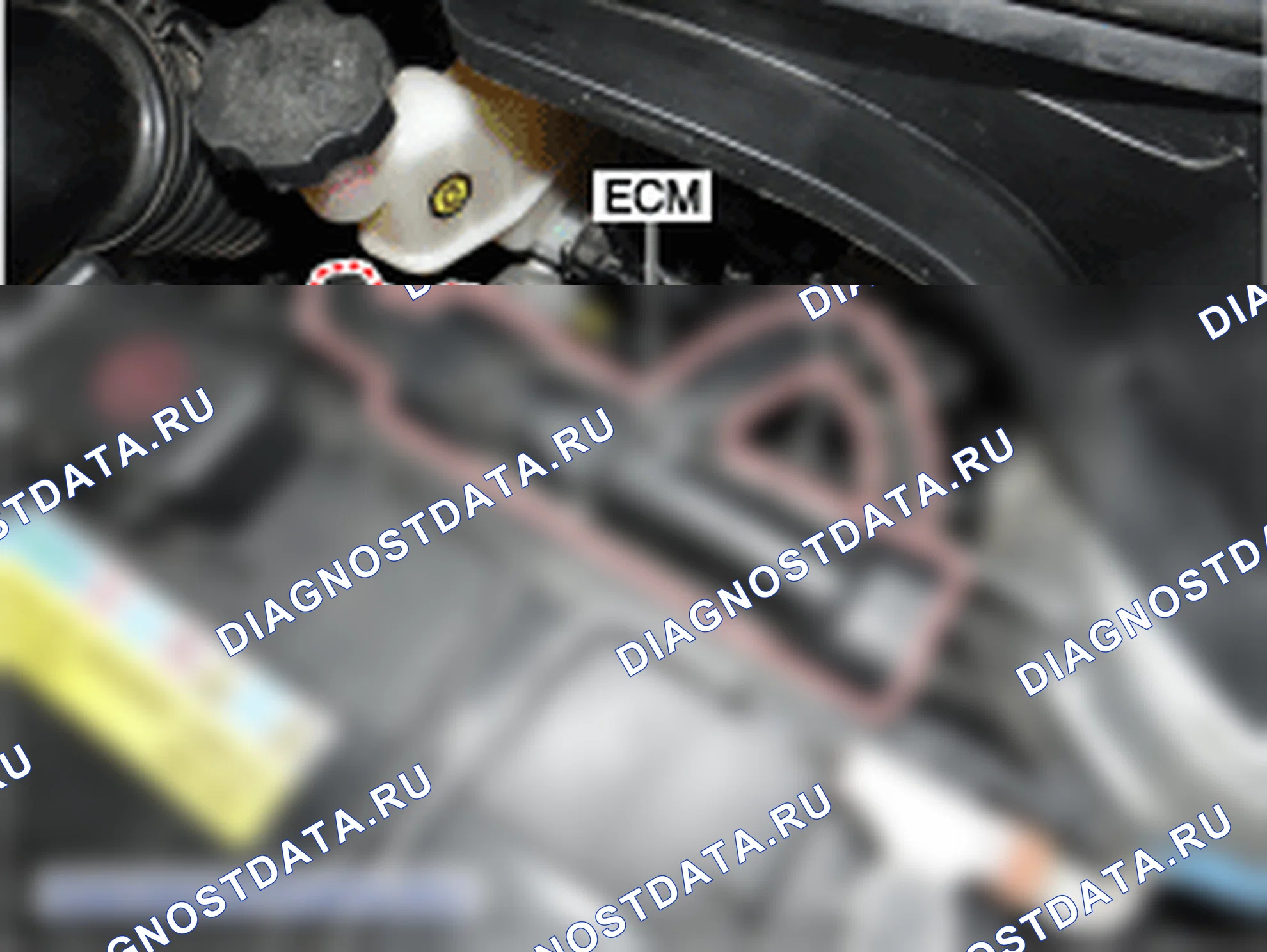 Компоненты и их расположение. Hyundai i20 GB