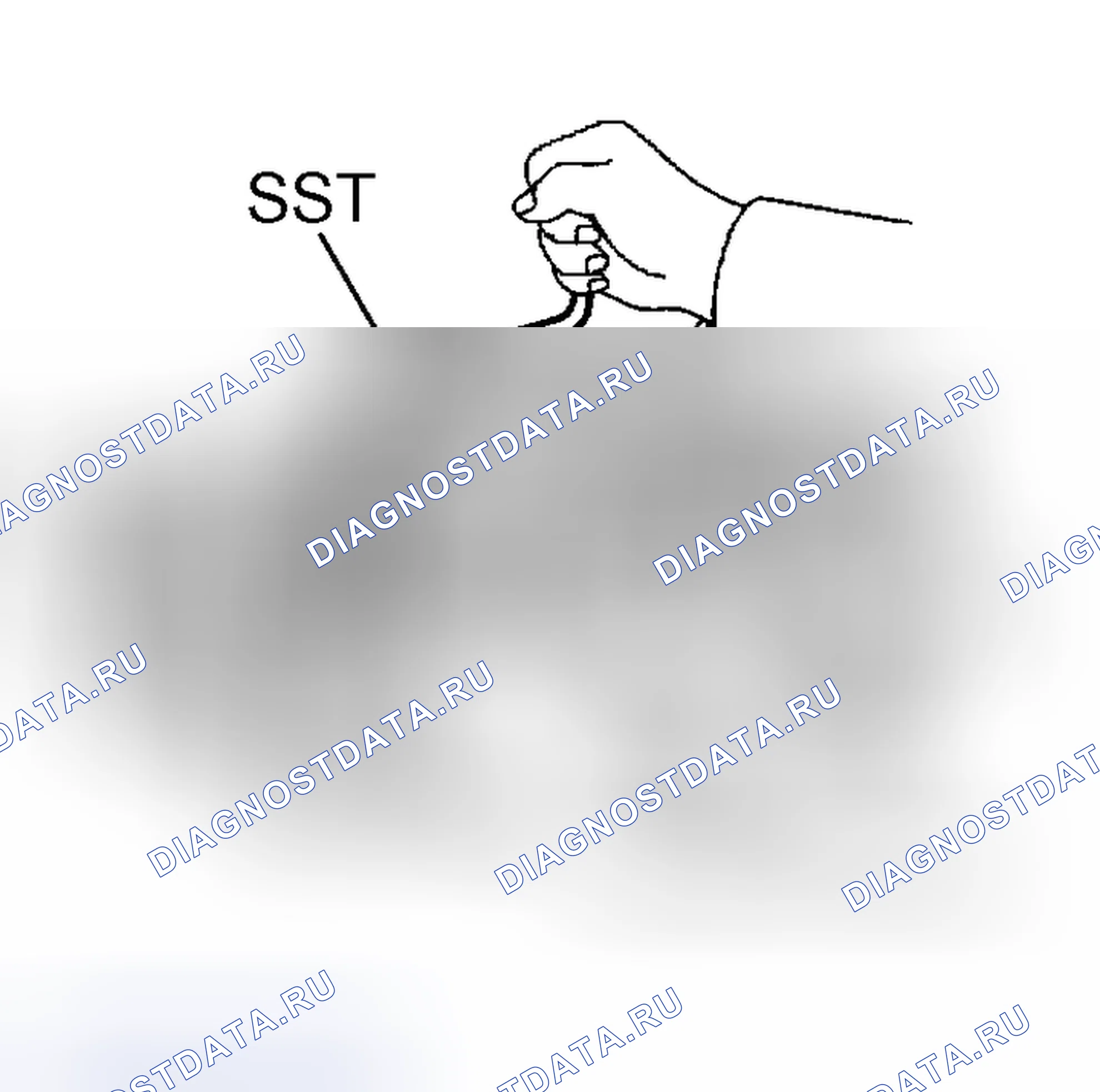 Рис. 368. Scion tC I