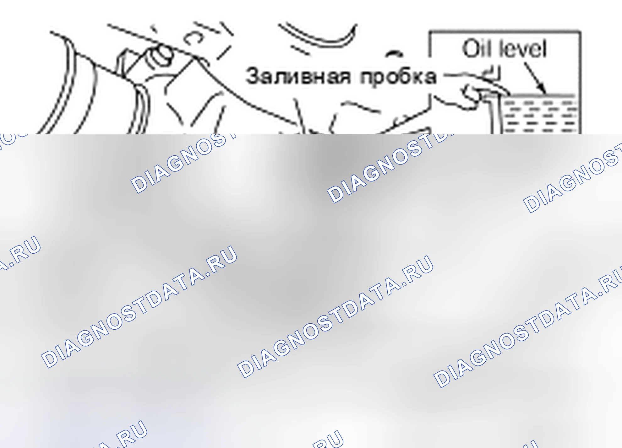 Рис. 14: ЗАПОЛНЕНИЕ. Nissan X-Trail I