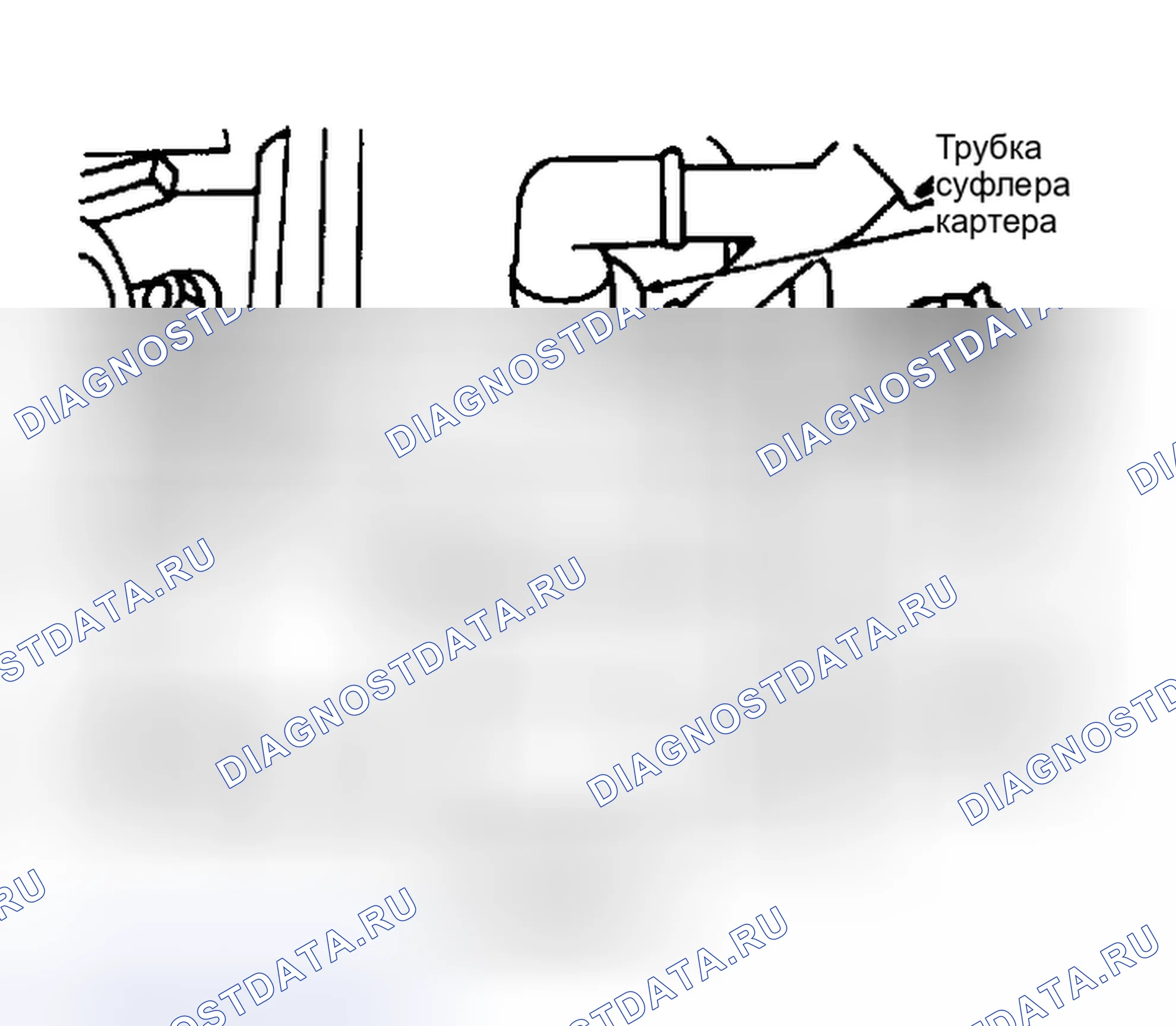 Рис. 2. Volkswagen Fox G1