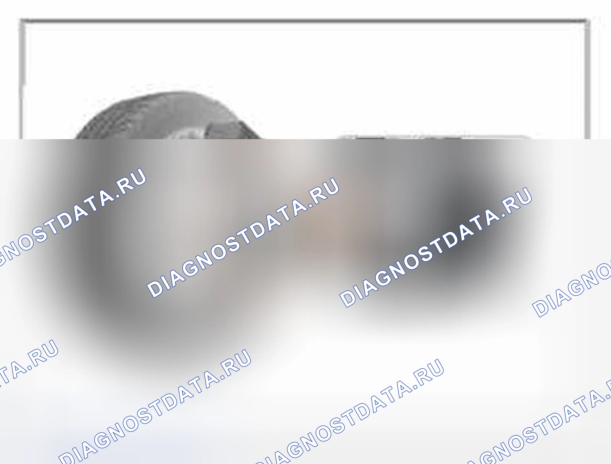 Рис. 88: Мониторинг данных GDS. Hyundai Azera II