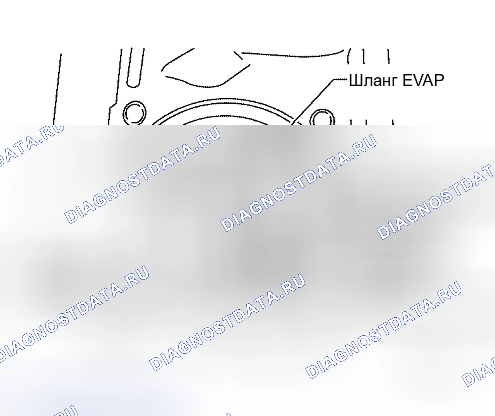 Рис. 14. Honda Mobilio Spike I