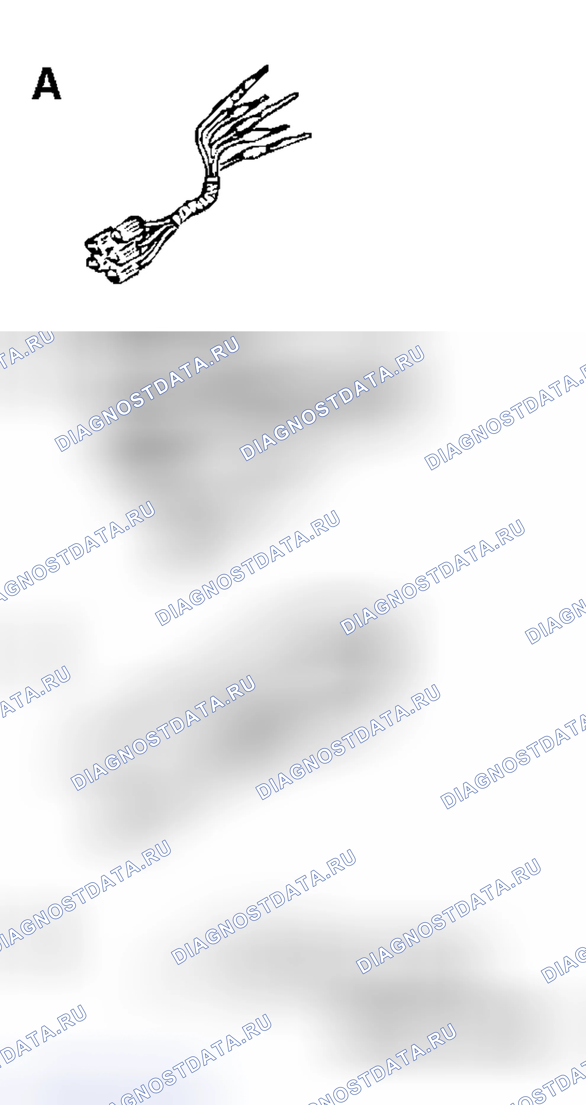 Рис. 57. Mitsubishi Endeavor I