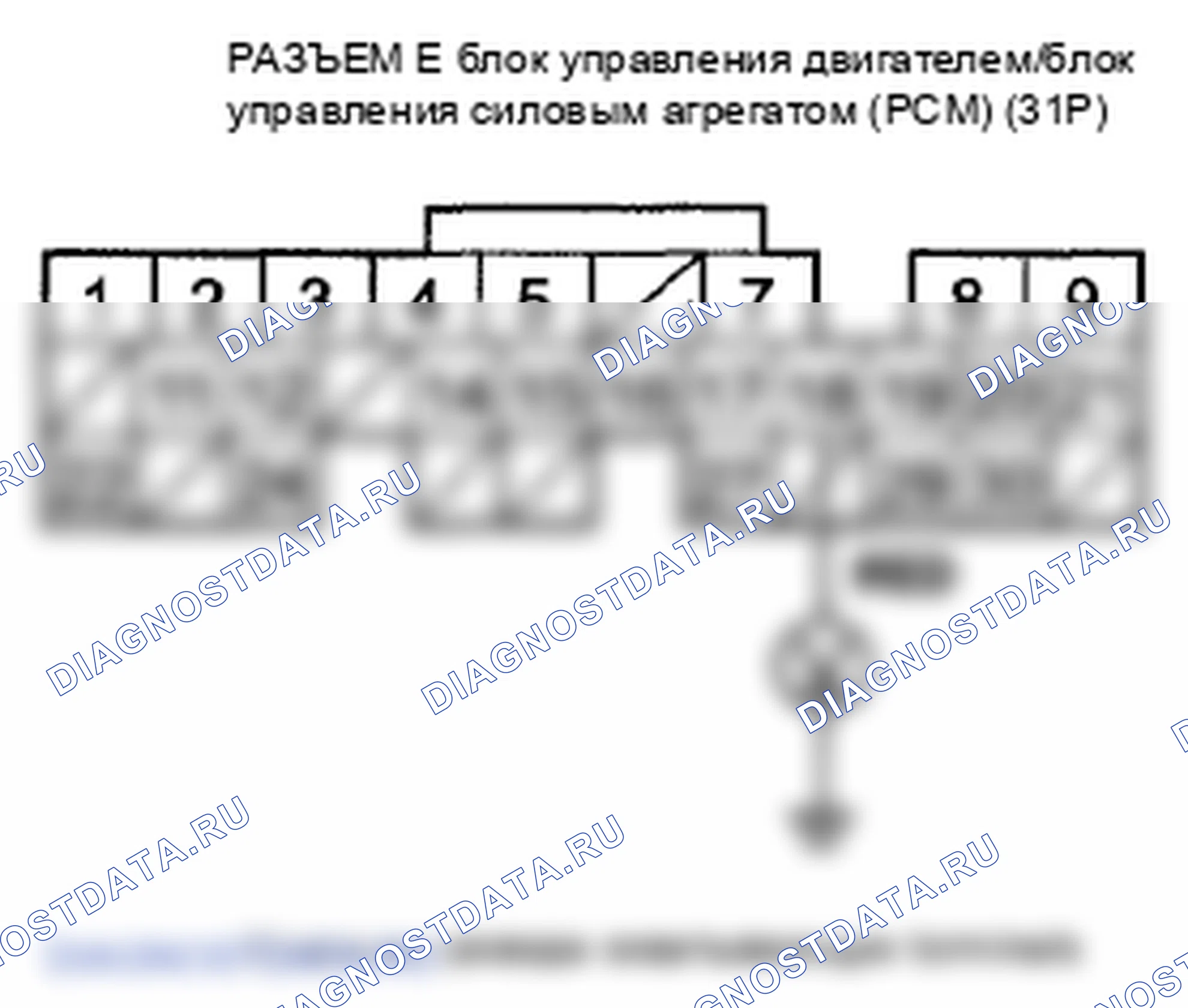 Рис. 56. Honda Element YH2 рестайлинг 2
