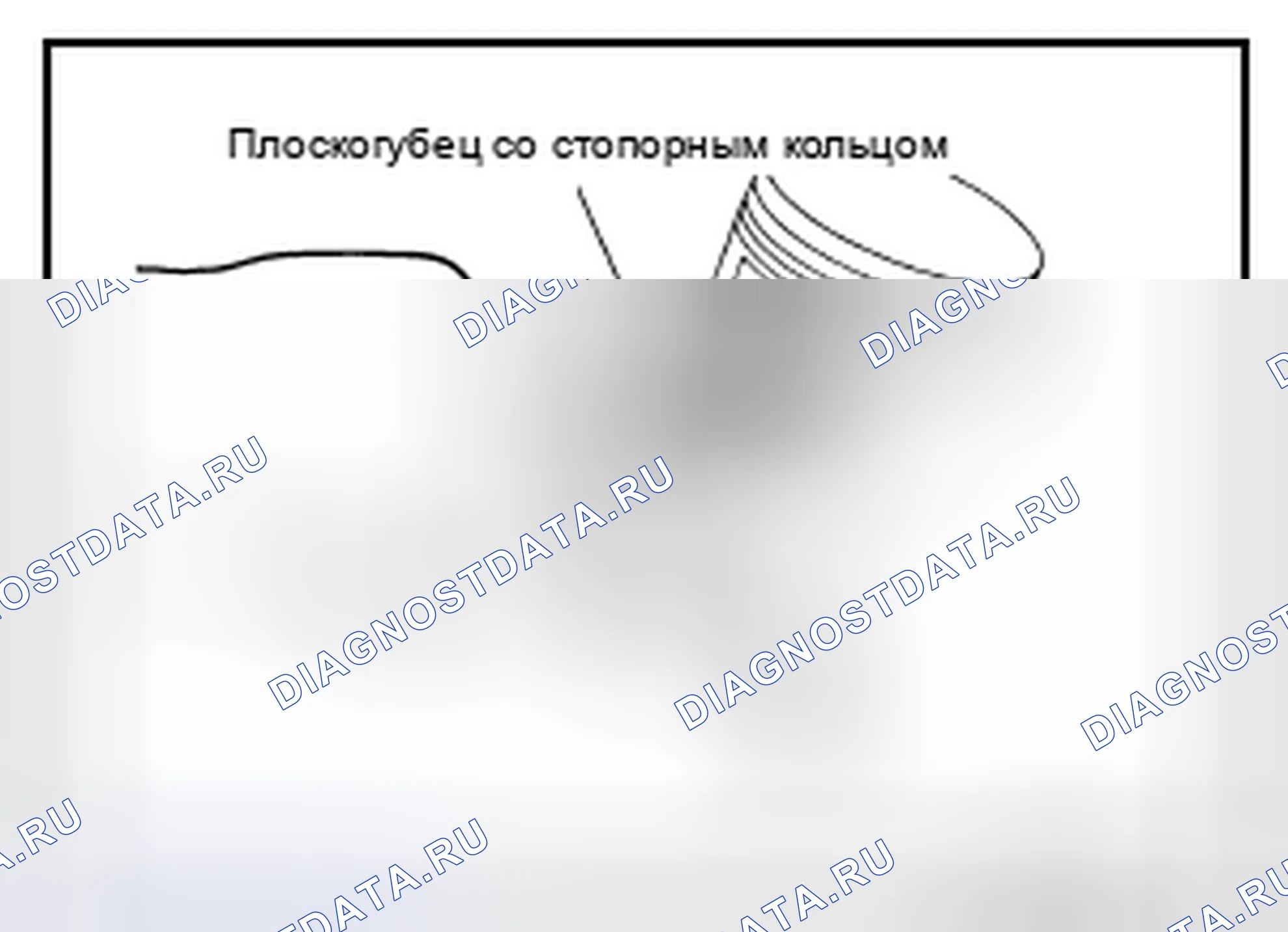 Рис. 291. Nissan Altima L32 рестайлинг