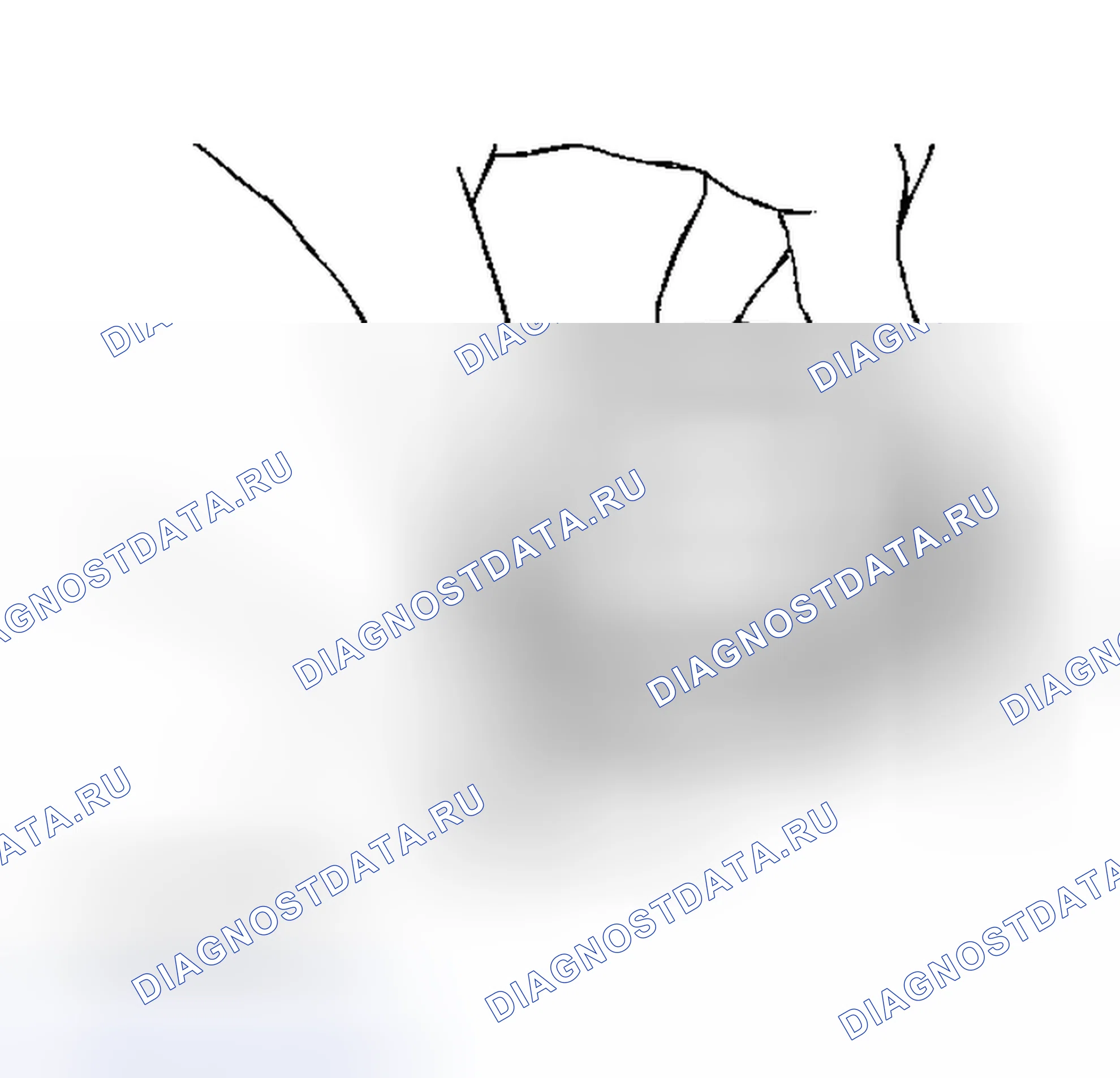 Рис. 6: Проверка раздаточной коробки. Nissan Pathfinder I