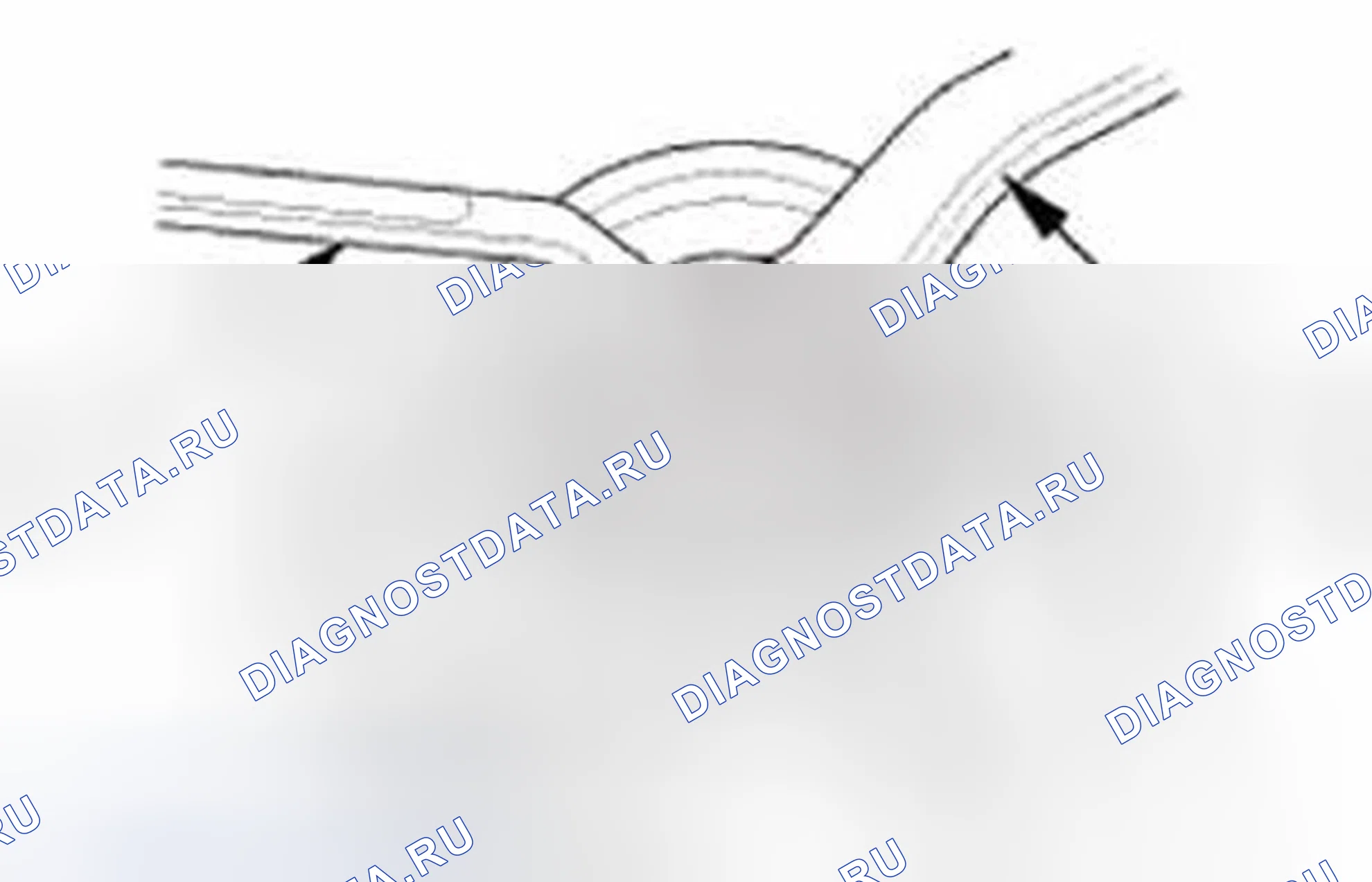 Рис. 27. Honda CR-V IV