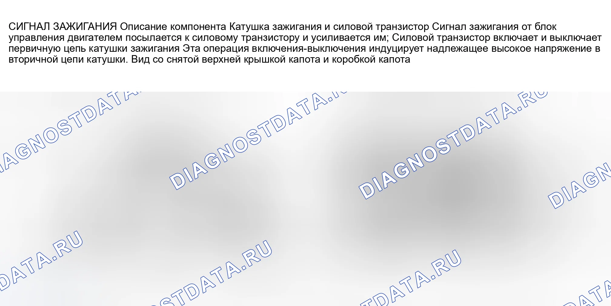 Рис. 287: Мурано. Nissan Sentra B15