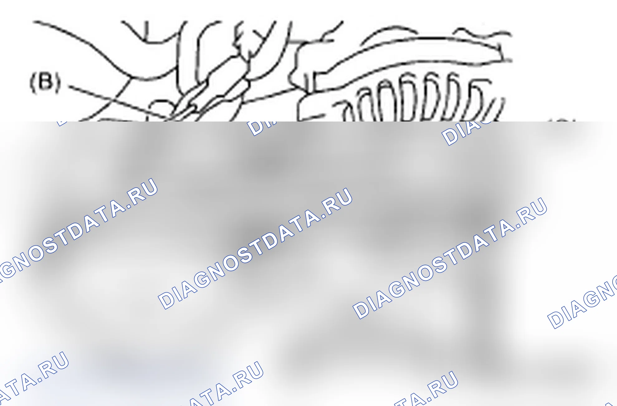 Рис. 379: ПЕРЕДНИЙ РЕМЕНЬ. Subaru Impreza WRX GD/GG рестайлинг 2