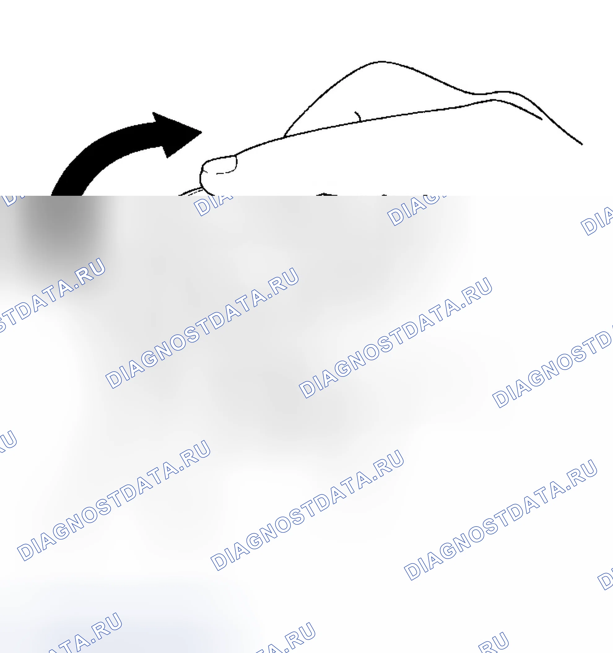 Рис. 64. Honda Accord VII рестайлинг