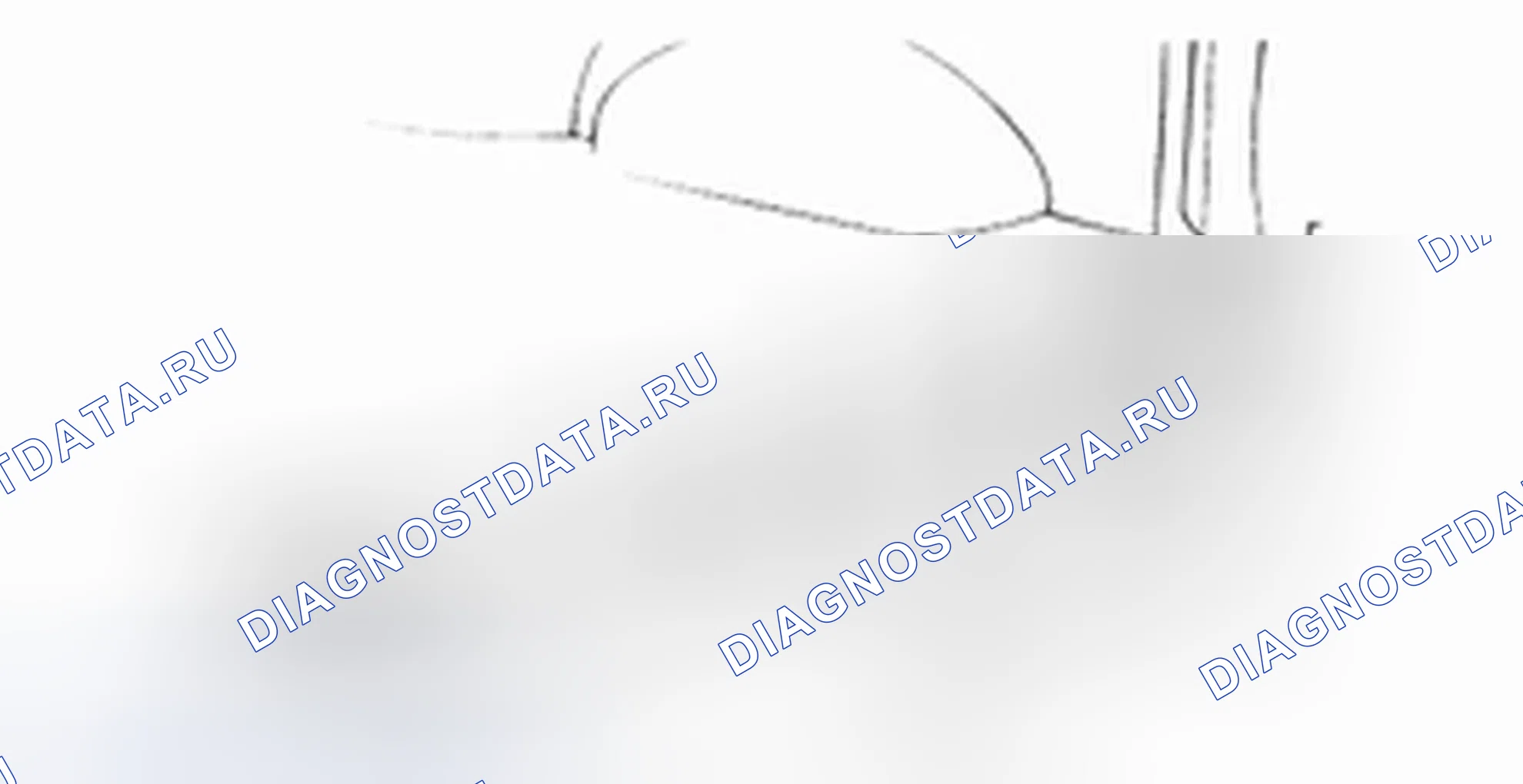 Снятие внутренней отделки салона. Hyundai H-1 A1