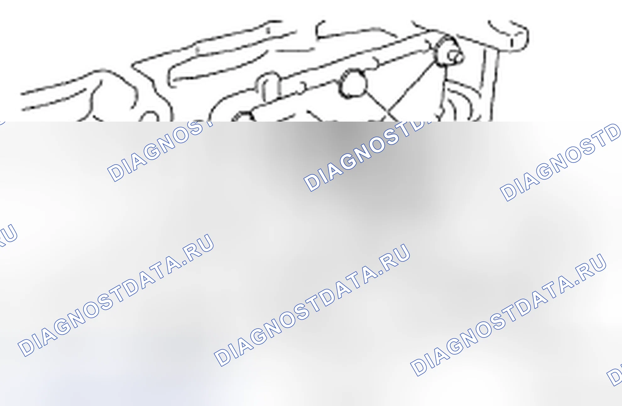 Рис. 596. Toyota Corolla X