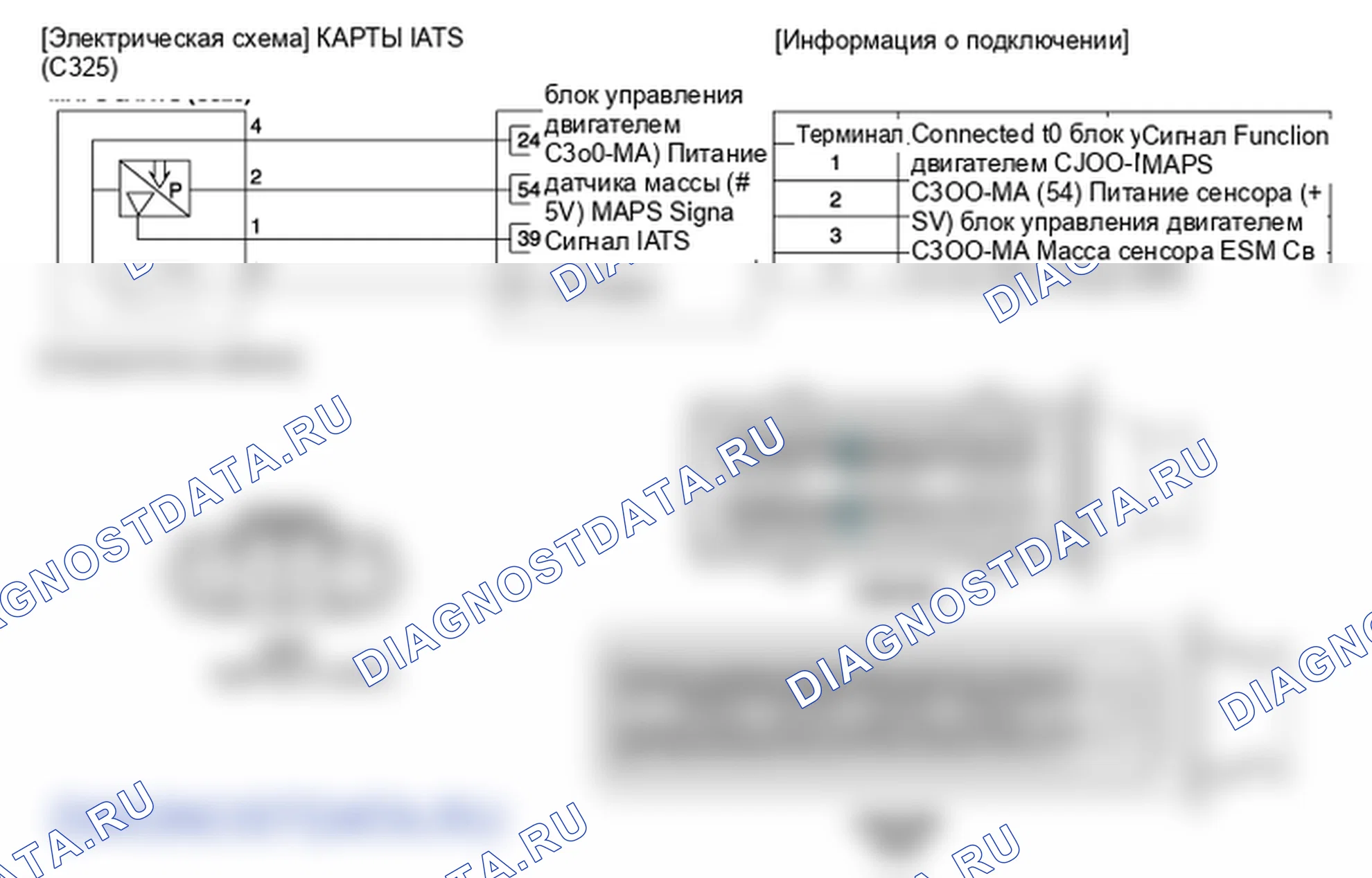 Фрагмент электросхемы: Датчик температуры всасываемого воздуха (IATS). Hyundai ix35 EL