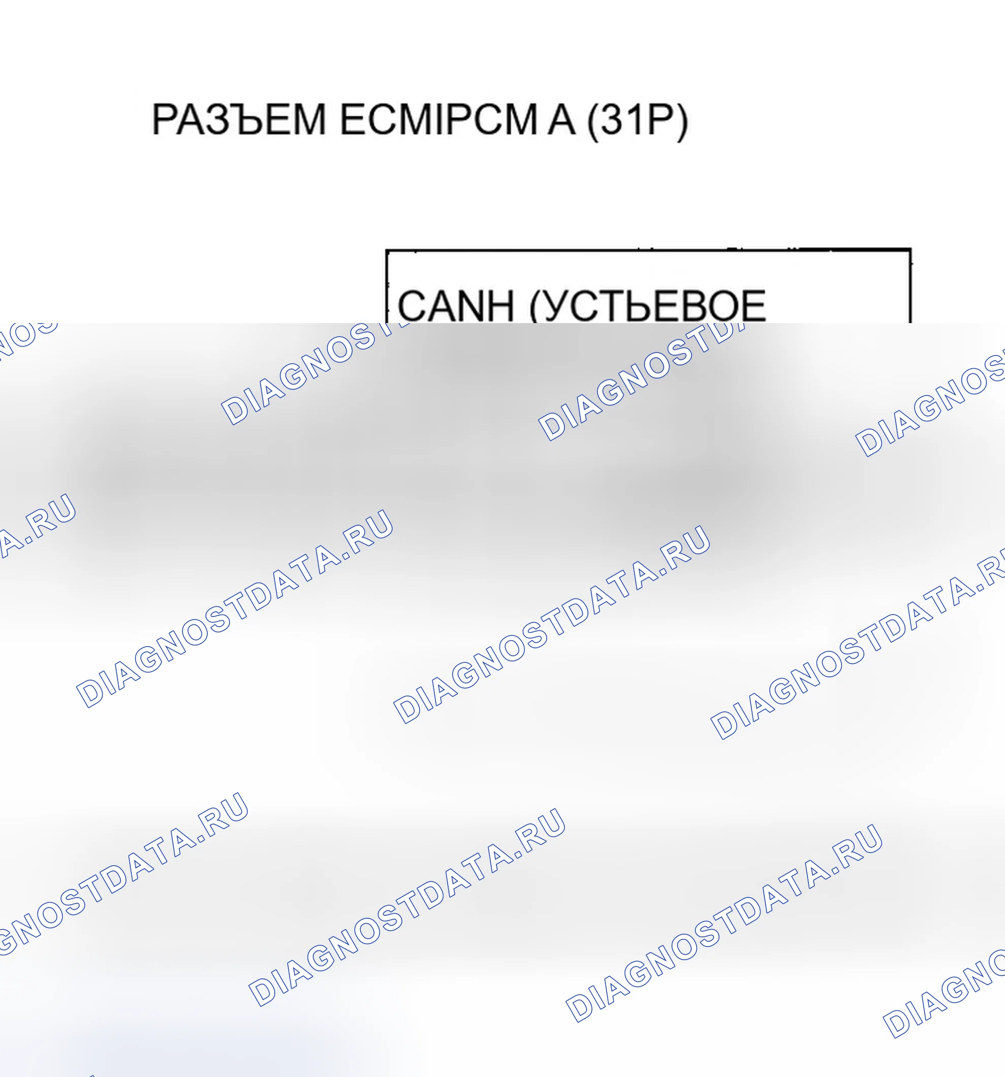 Рис. 644. Honda Accord VII рестайлинг