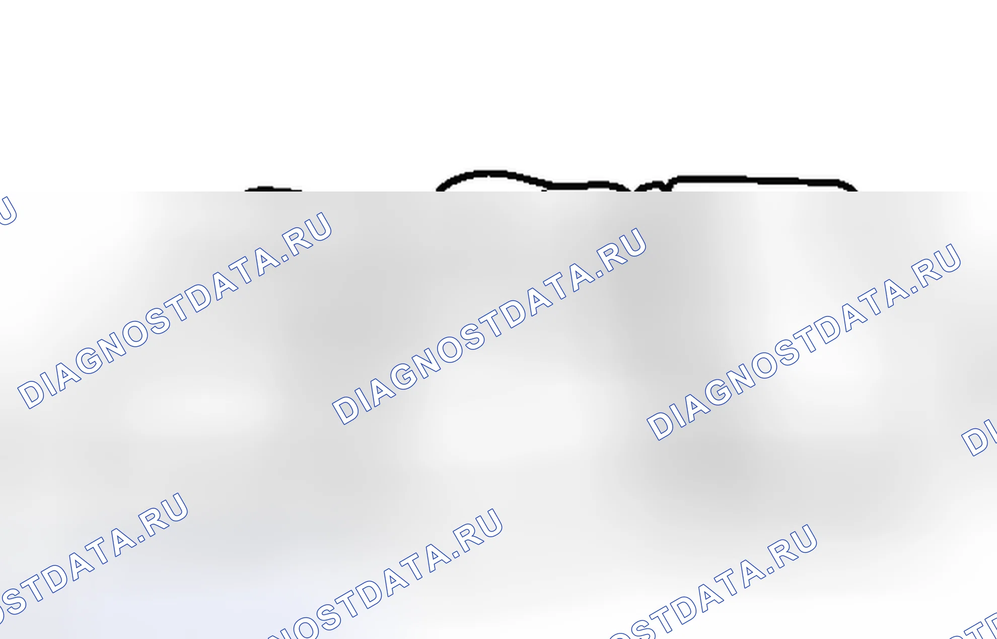 Рис. 282. Haval Raptor I