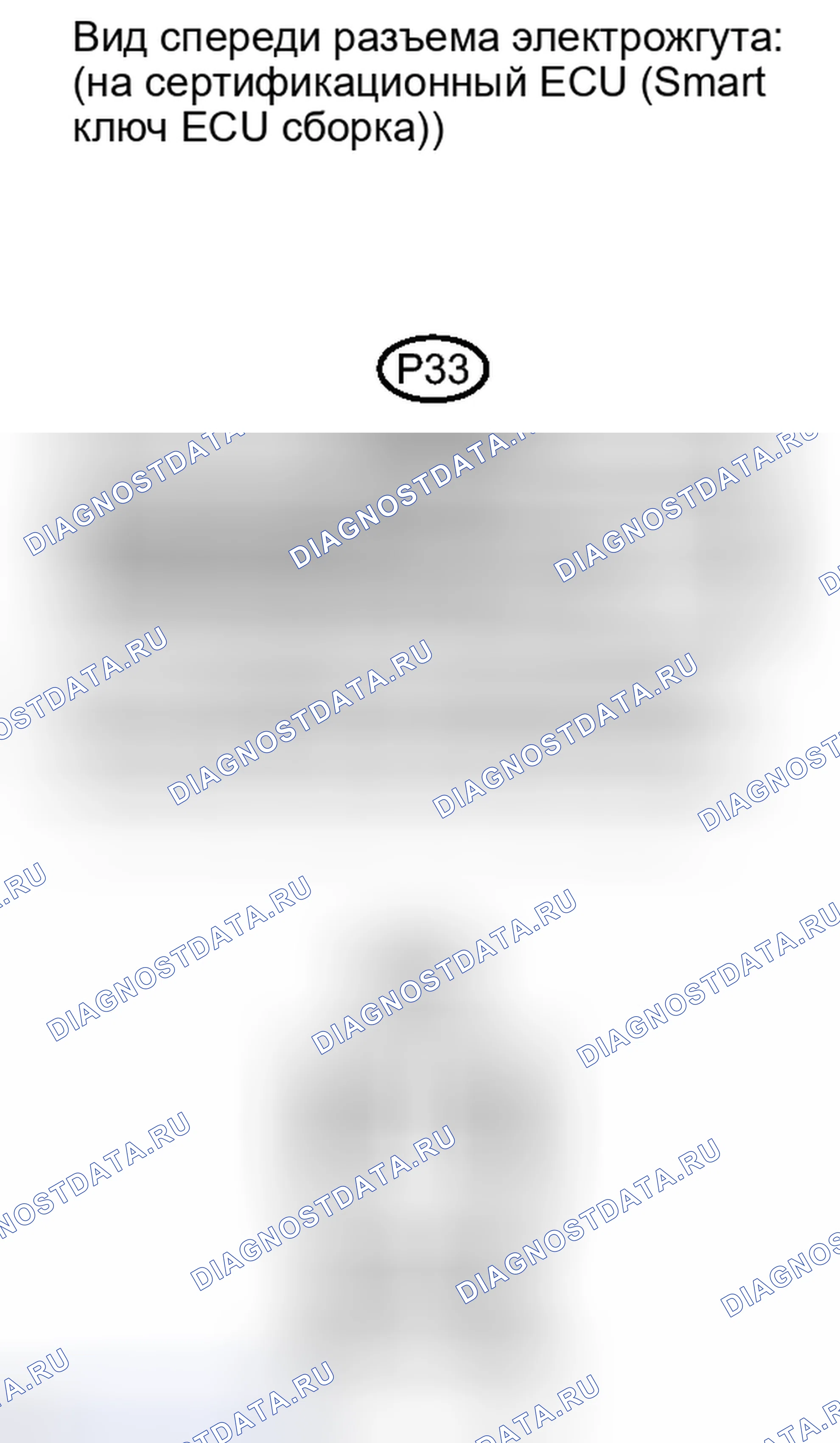 Рис. 252. Lexus IS F I