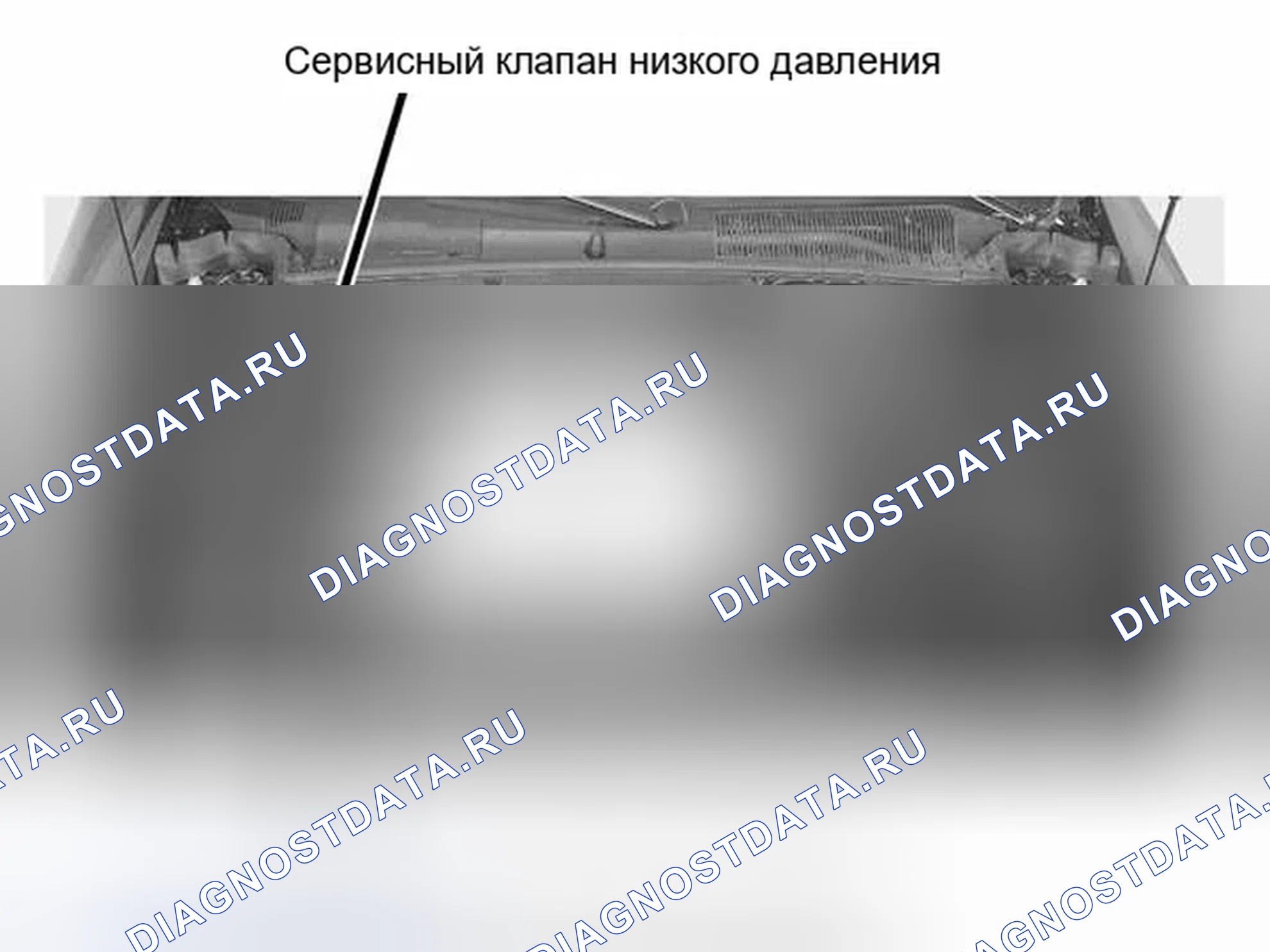 Рис. 17. Ford Escape I