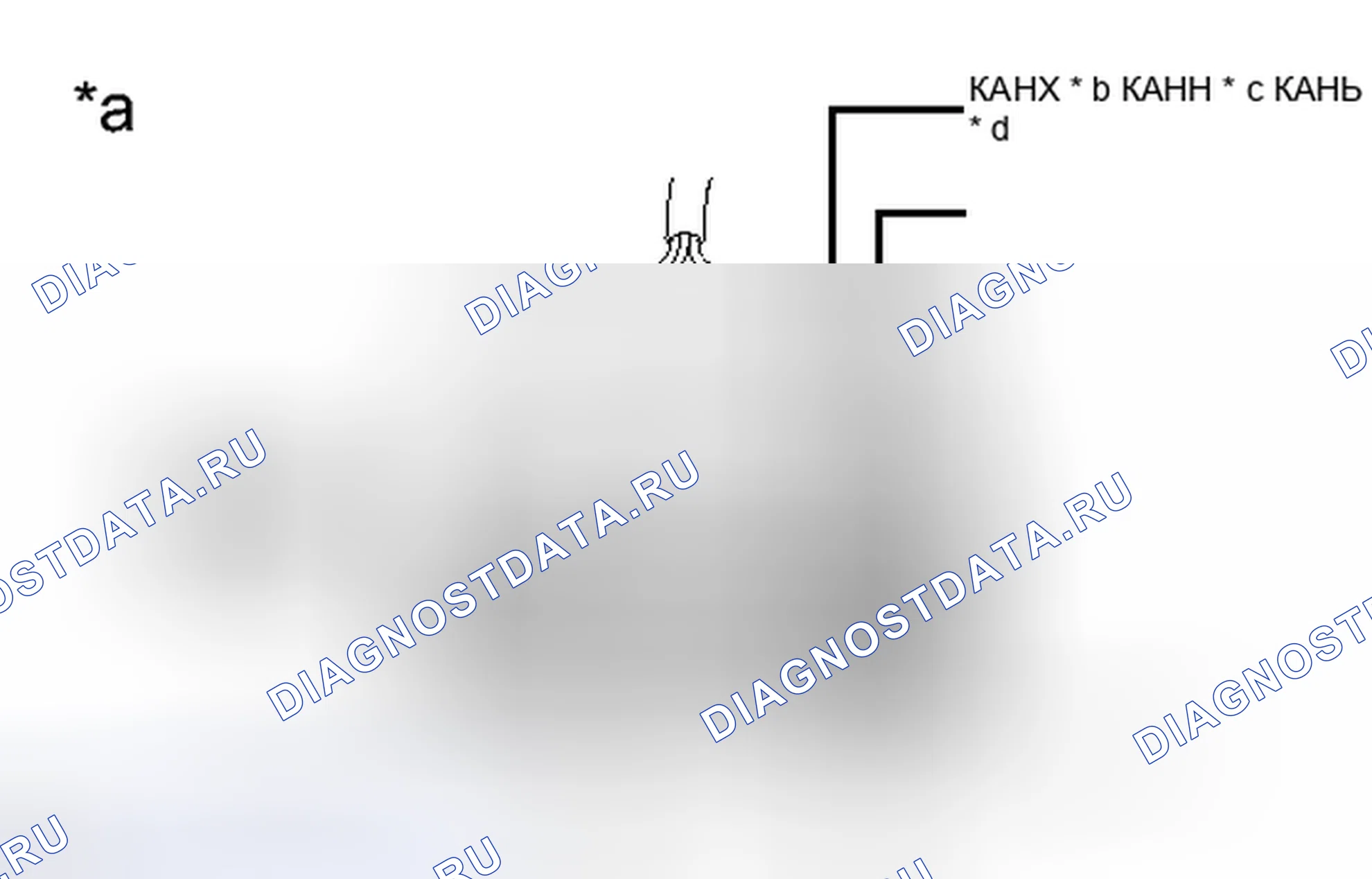 Рис. 30. Toyota Camry XV50