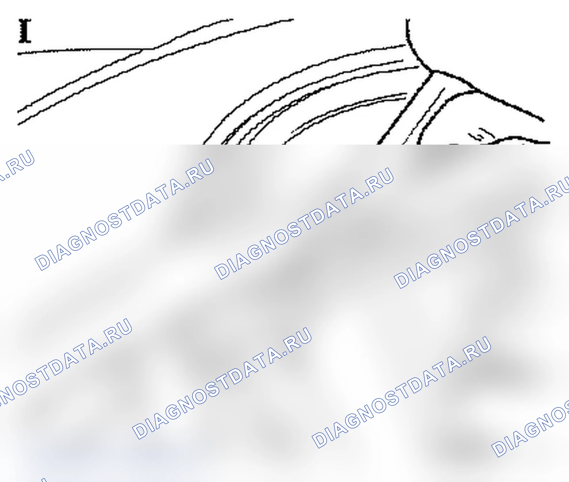 Rear door, fixed window - Wind noise. Opel Signum I рестайлинг