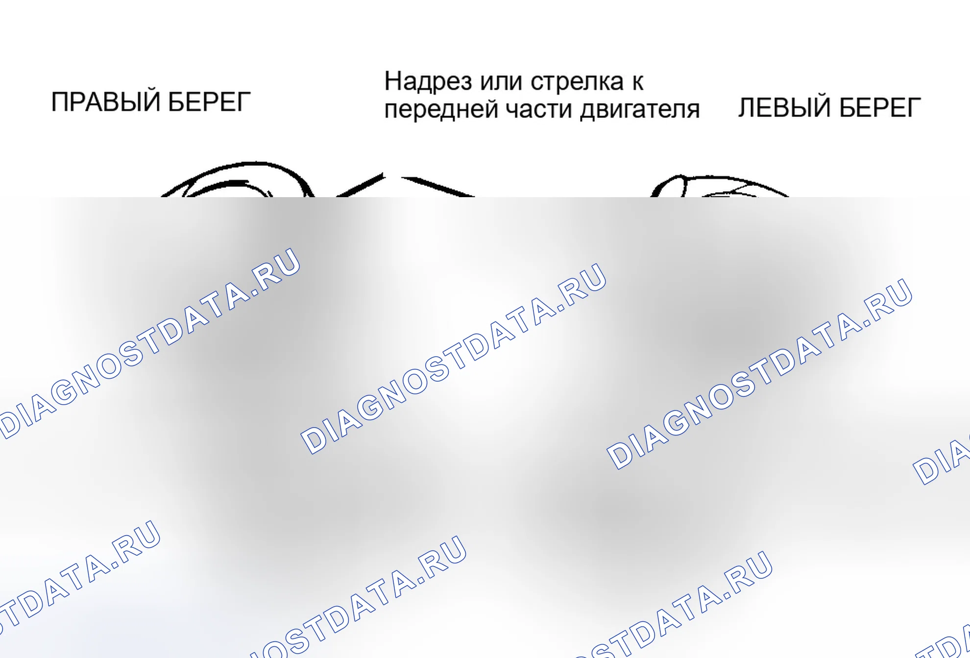 Рис. 30: Узел поршня и штока. Ford Mustang IV
