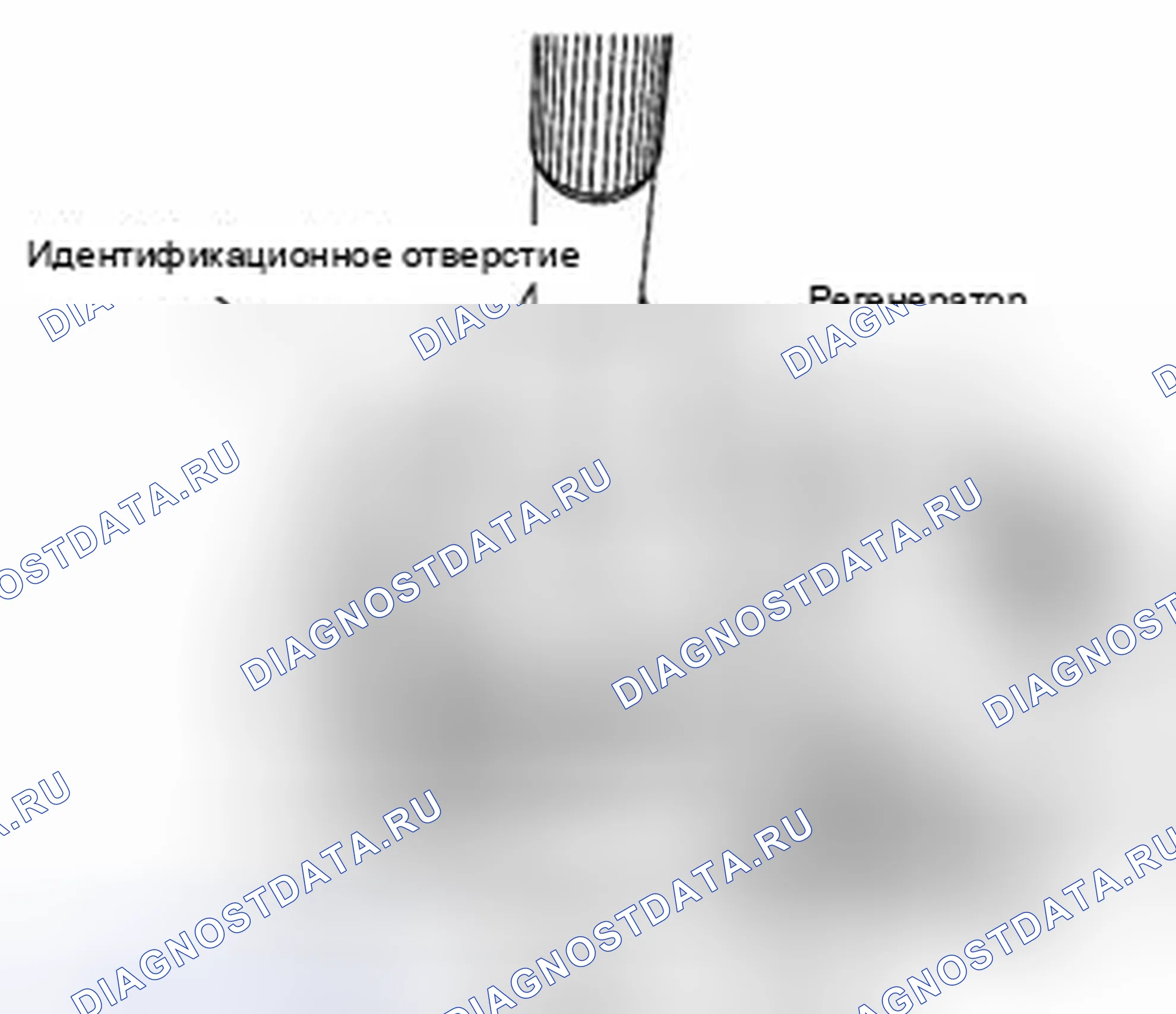Рис. 210. Suzuki Equator I