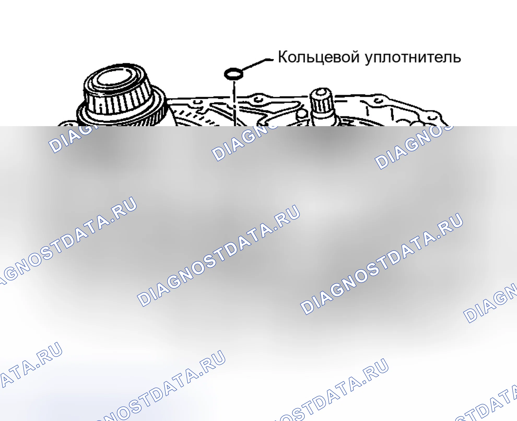 Рис. 1104. Nissan Sentra B15