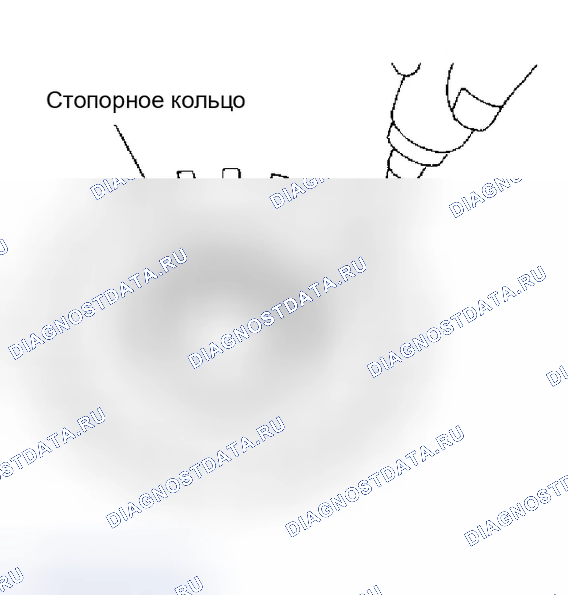 Рис. 653. Infiniti M45 II