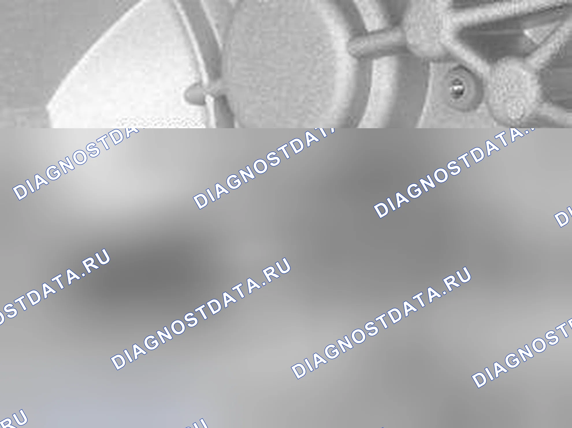 Рис. 396: Отвод в экстракторе для первичного уплотнения вала. Volvo S60 I
