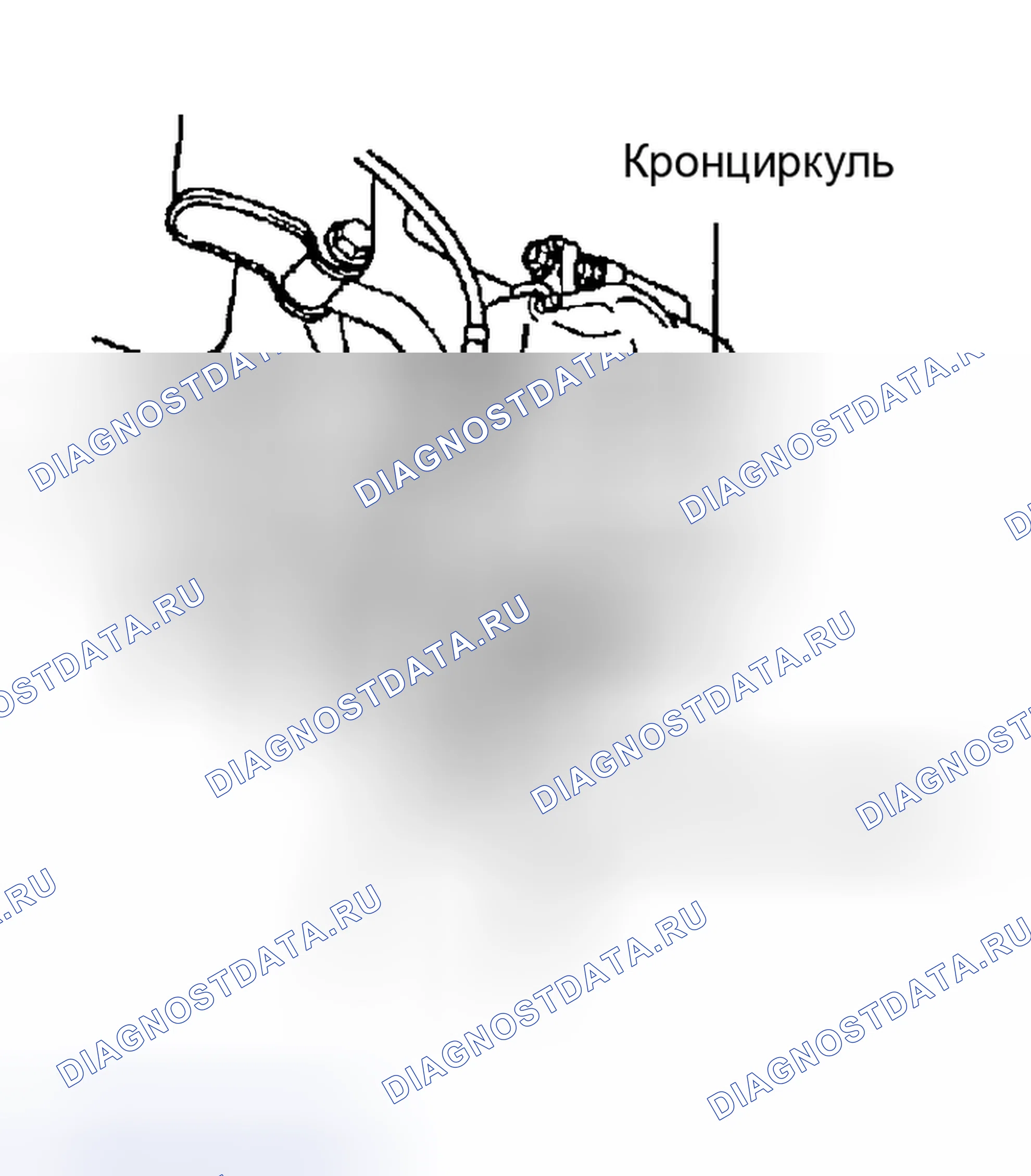 Рис. 50. Kia Sedona I