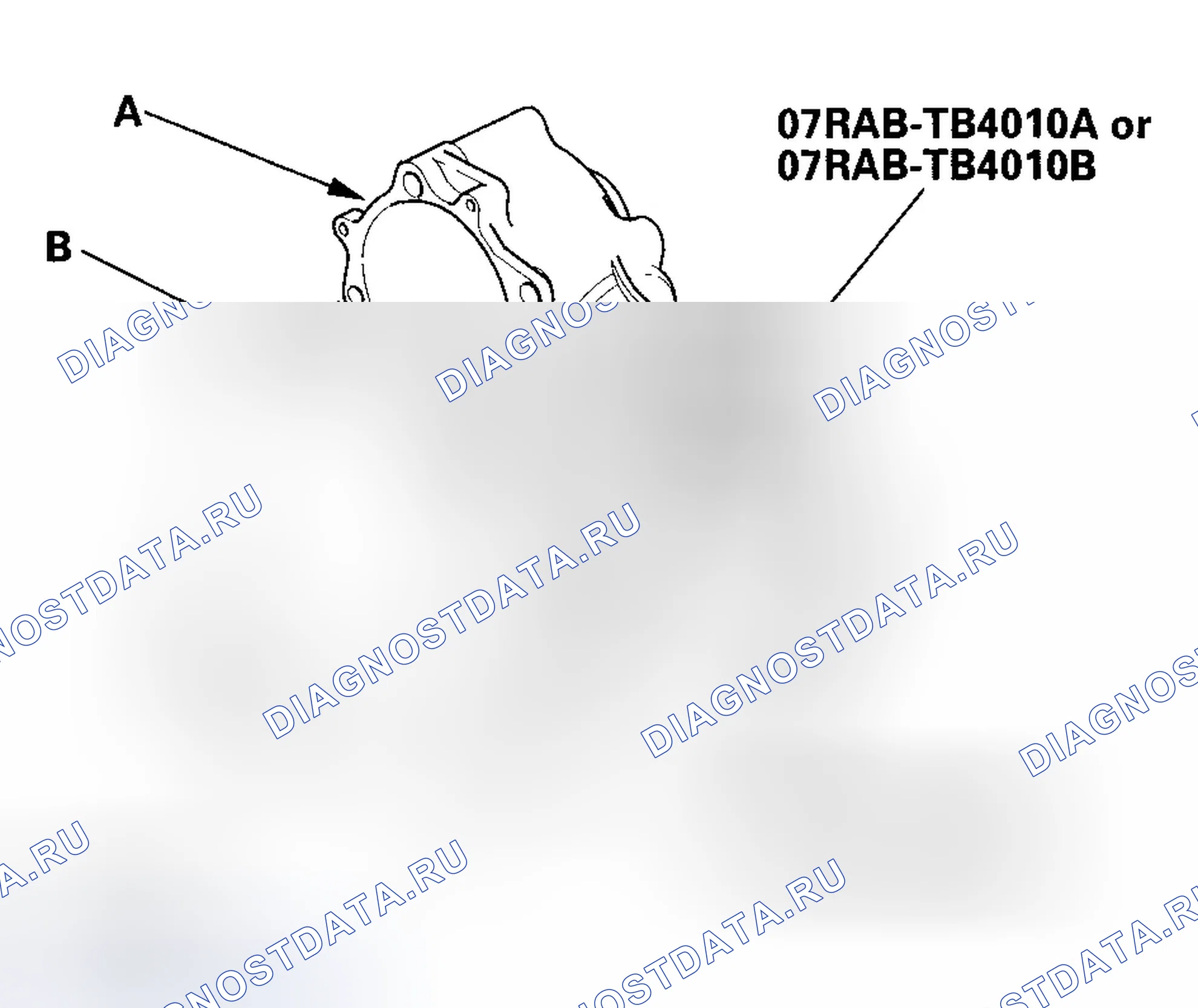 Рис. 204. Honda Element YH2