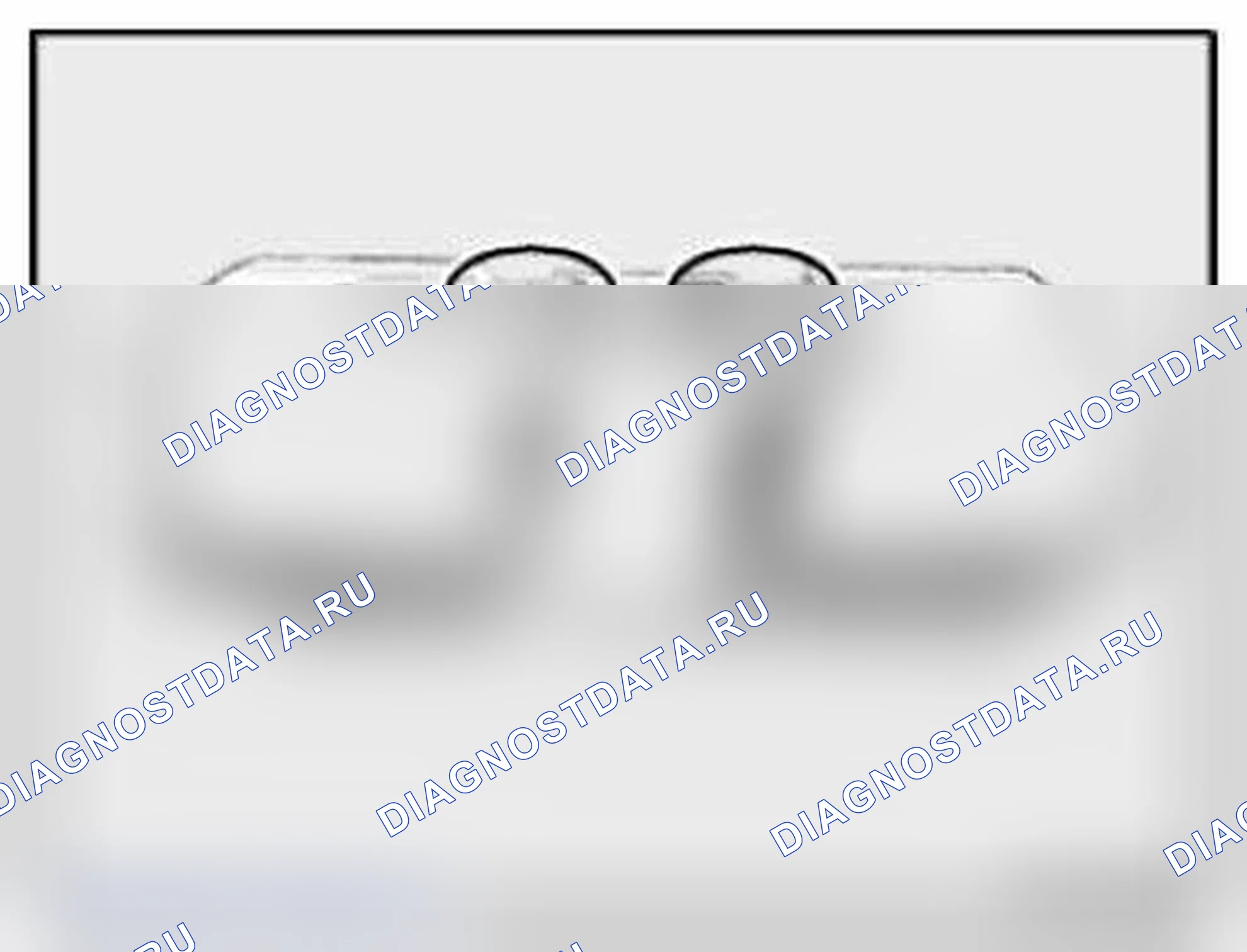 Рис. 295. BMW X5 M E70