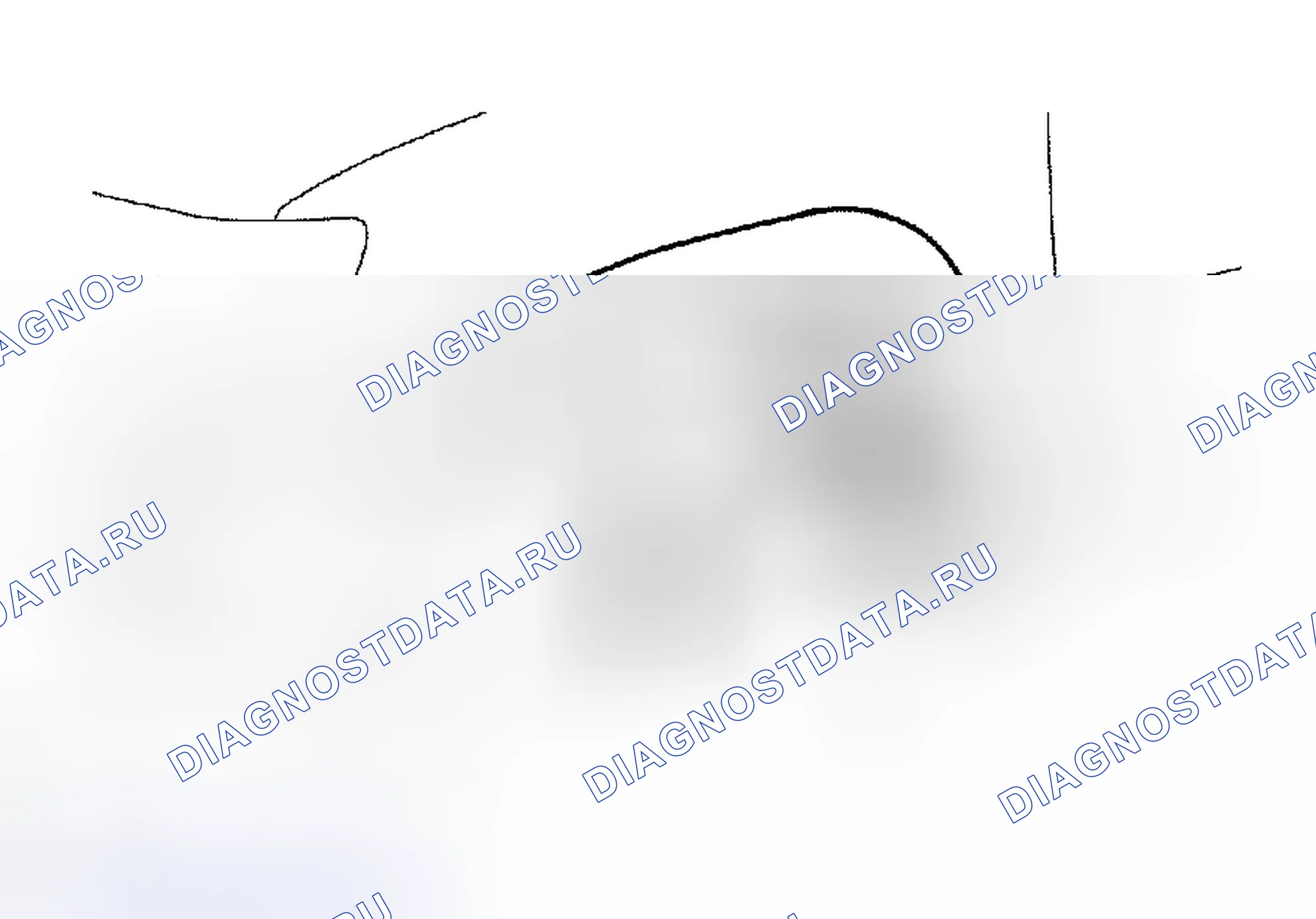 Рис. 449. Toyota Tacoma II