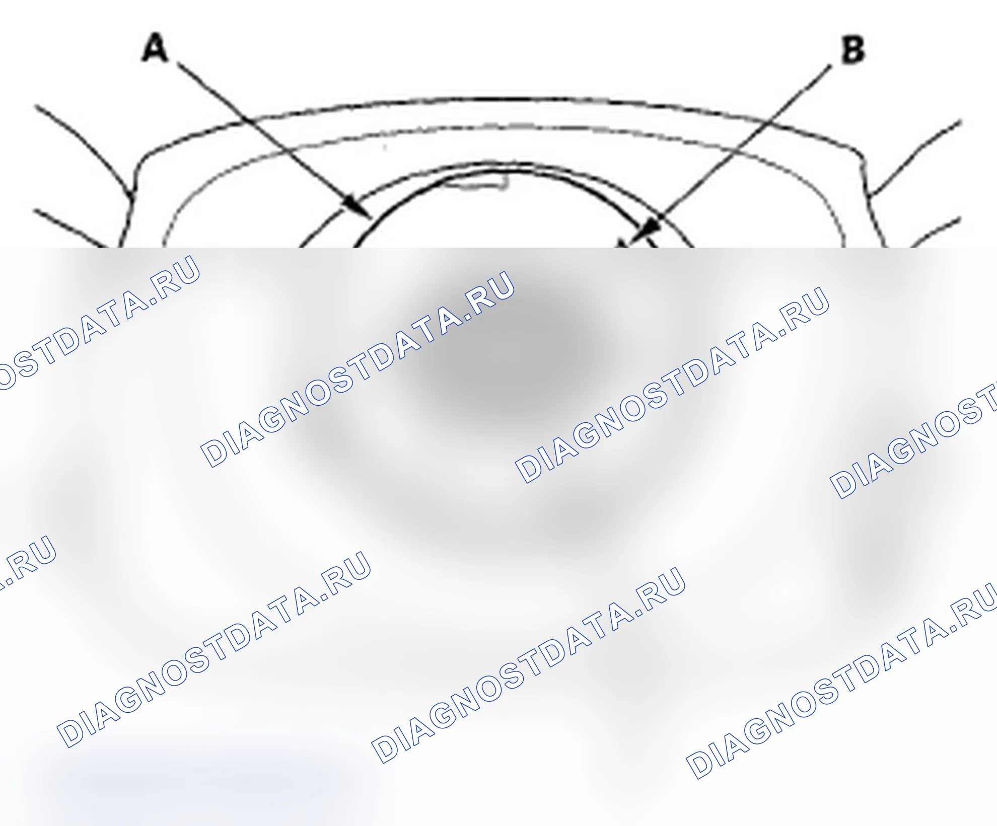 Рис. 37: Установка рулевого колеса. Acura RL II