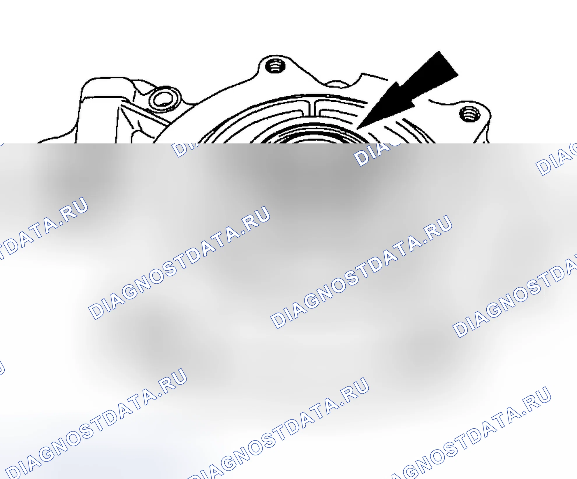 Рис. 251. Ford Ranger I