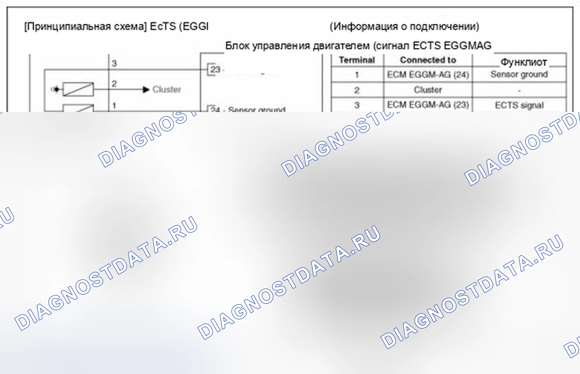 Рис. 38: (M / T). BMW 6 серия F06/F13/F12