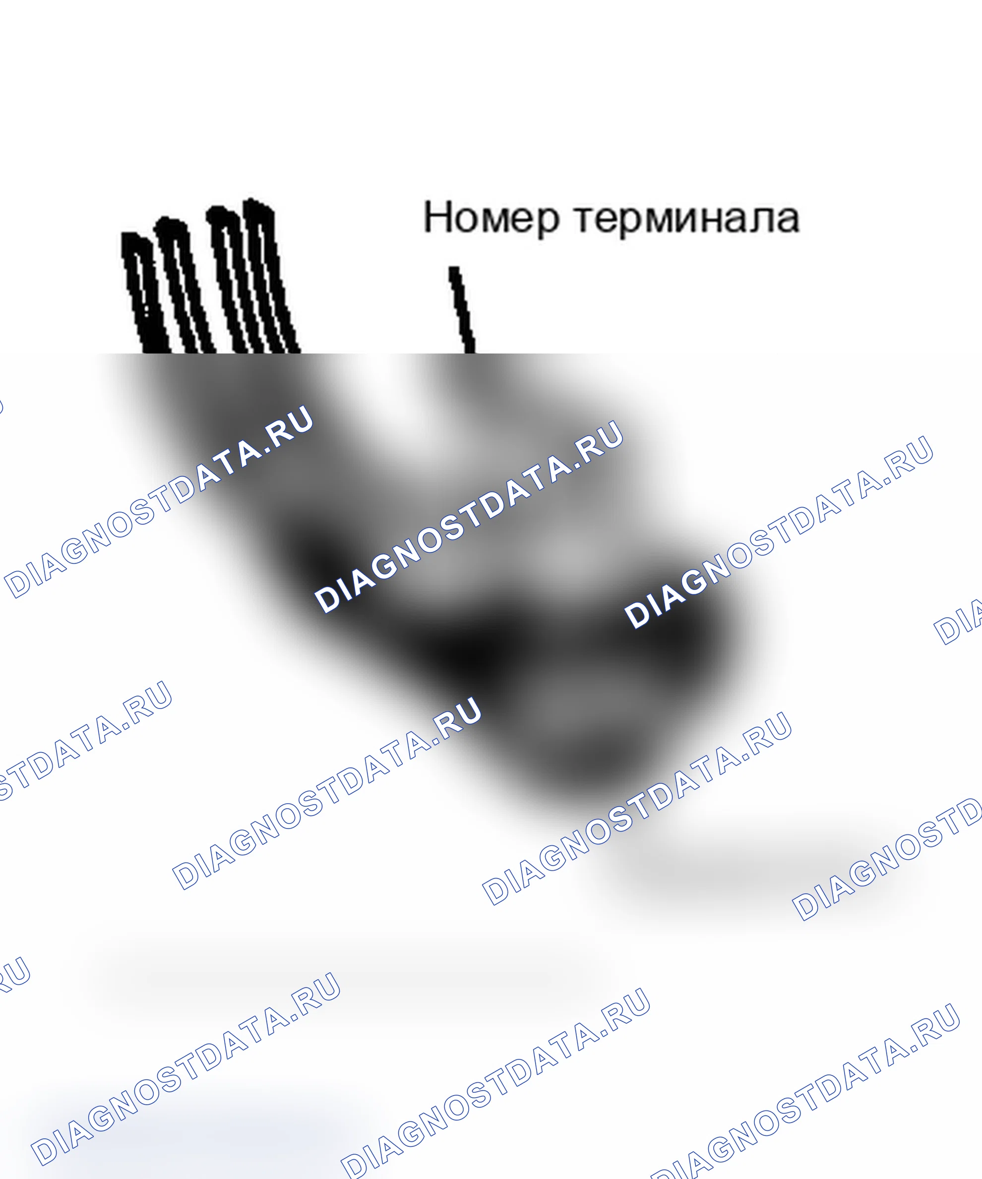 Рис. 3. Dodge Dakota 