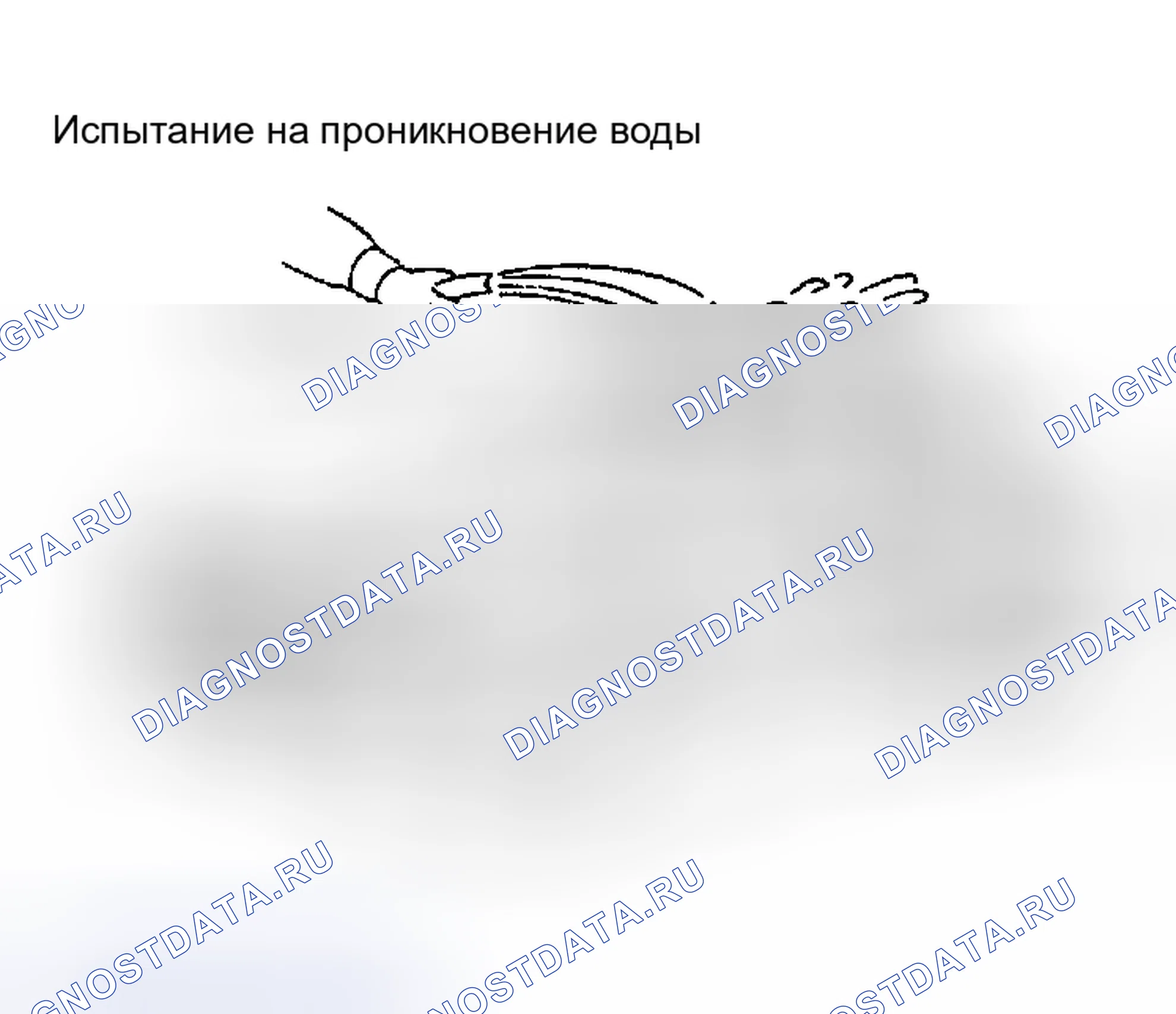 Рис. 34: Проникновение воды. Nissan Altima L31