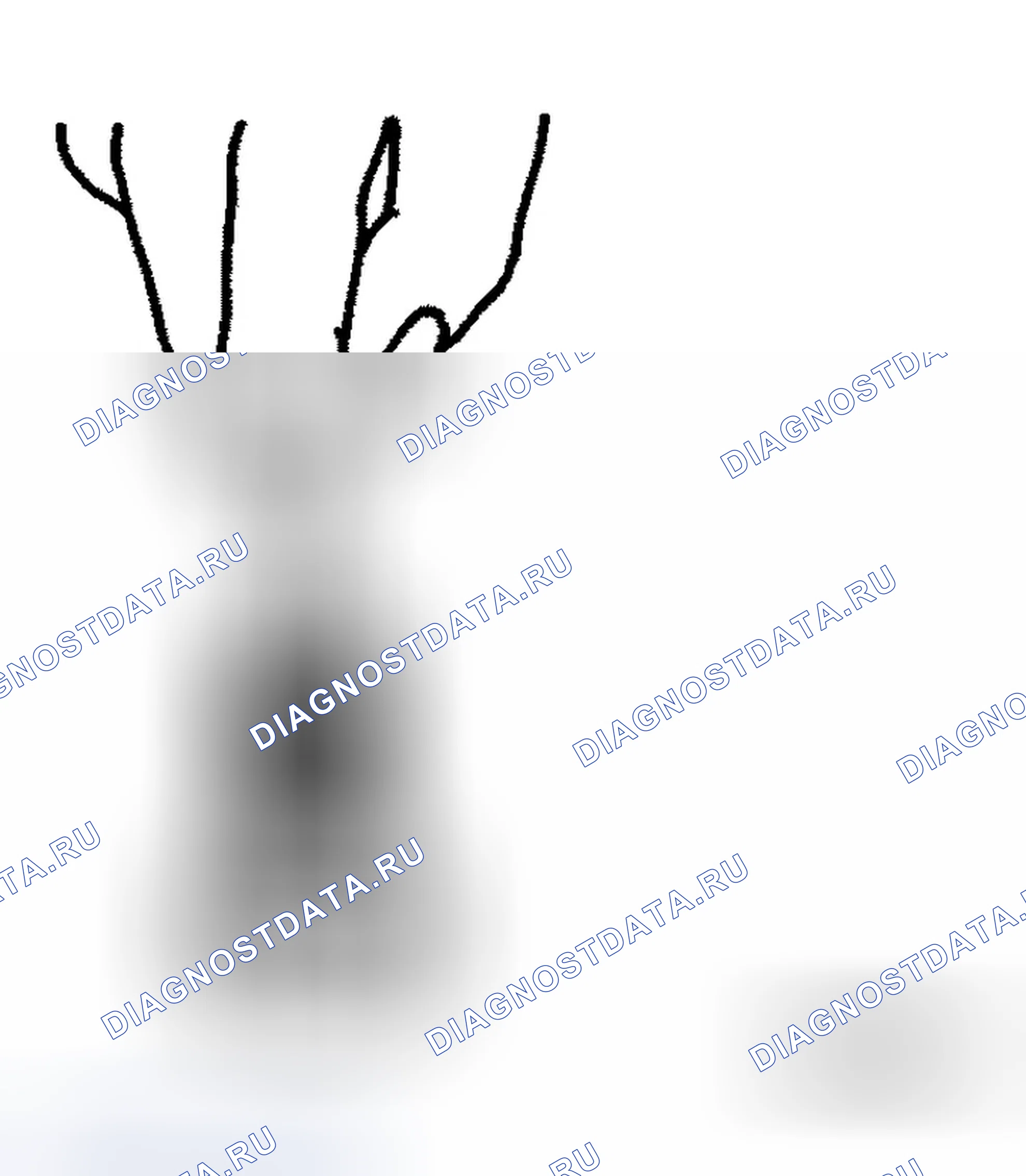 Рис. 338. Infiniti M35 III