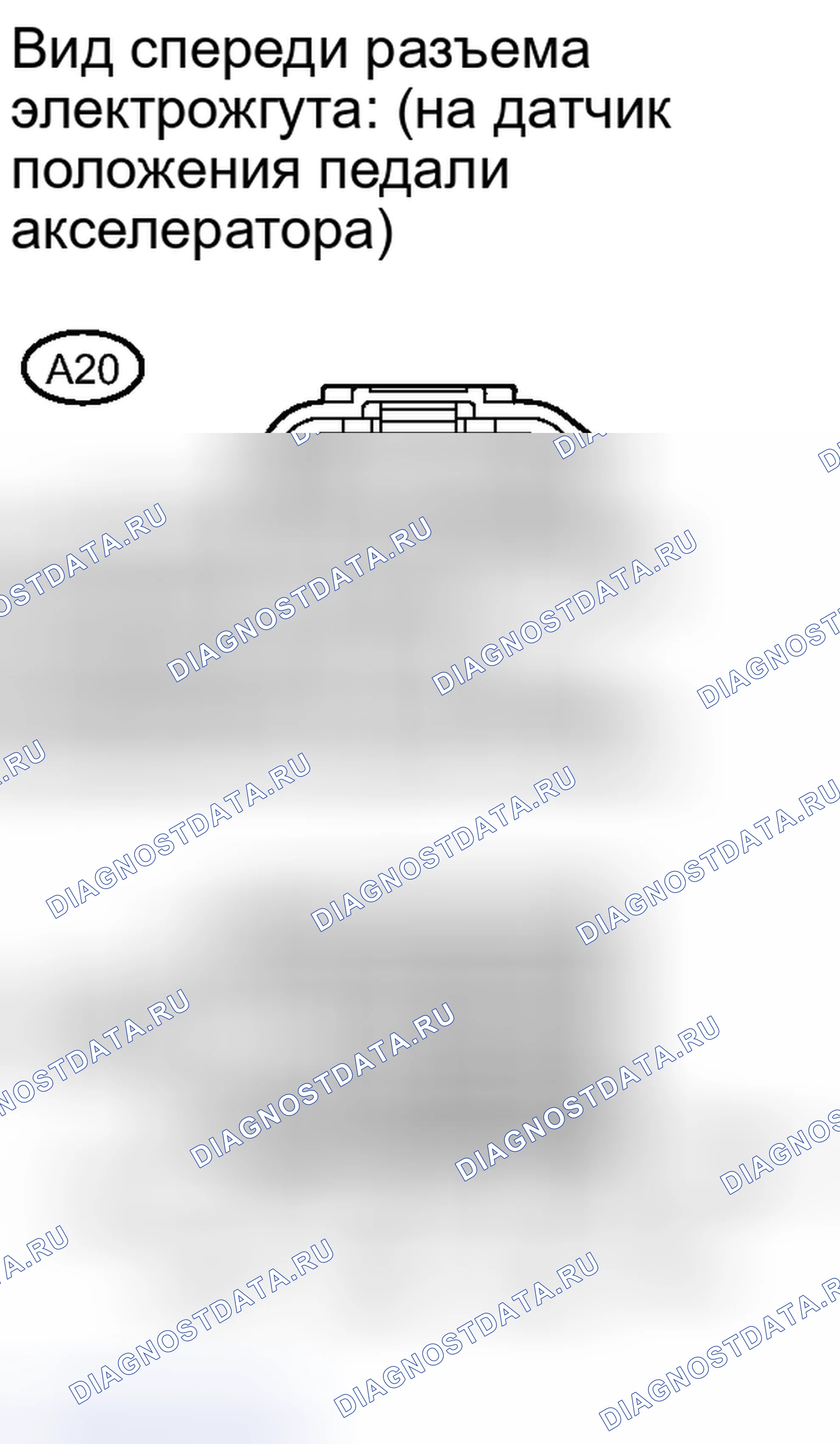 Рис. 298. Scion xD I