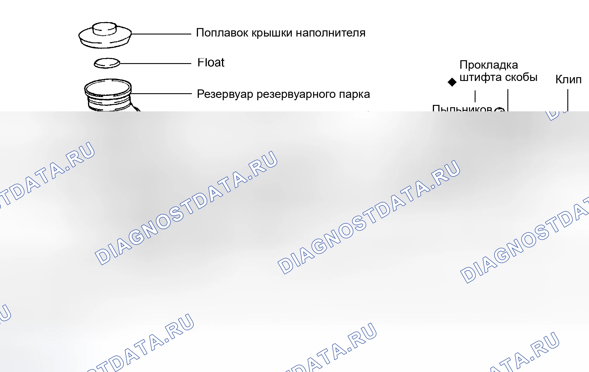 Рис. 1: ОБЩИЕ СВЕДЕНИЯ. Toyota RAV4 II рестайлинг