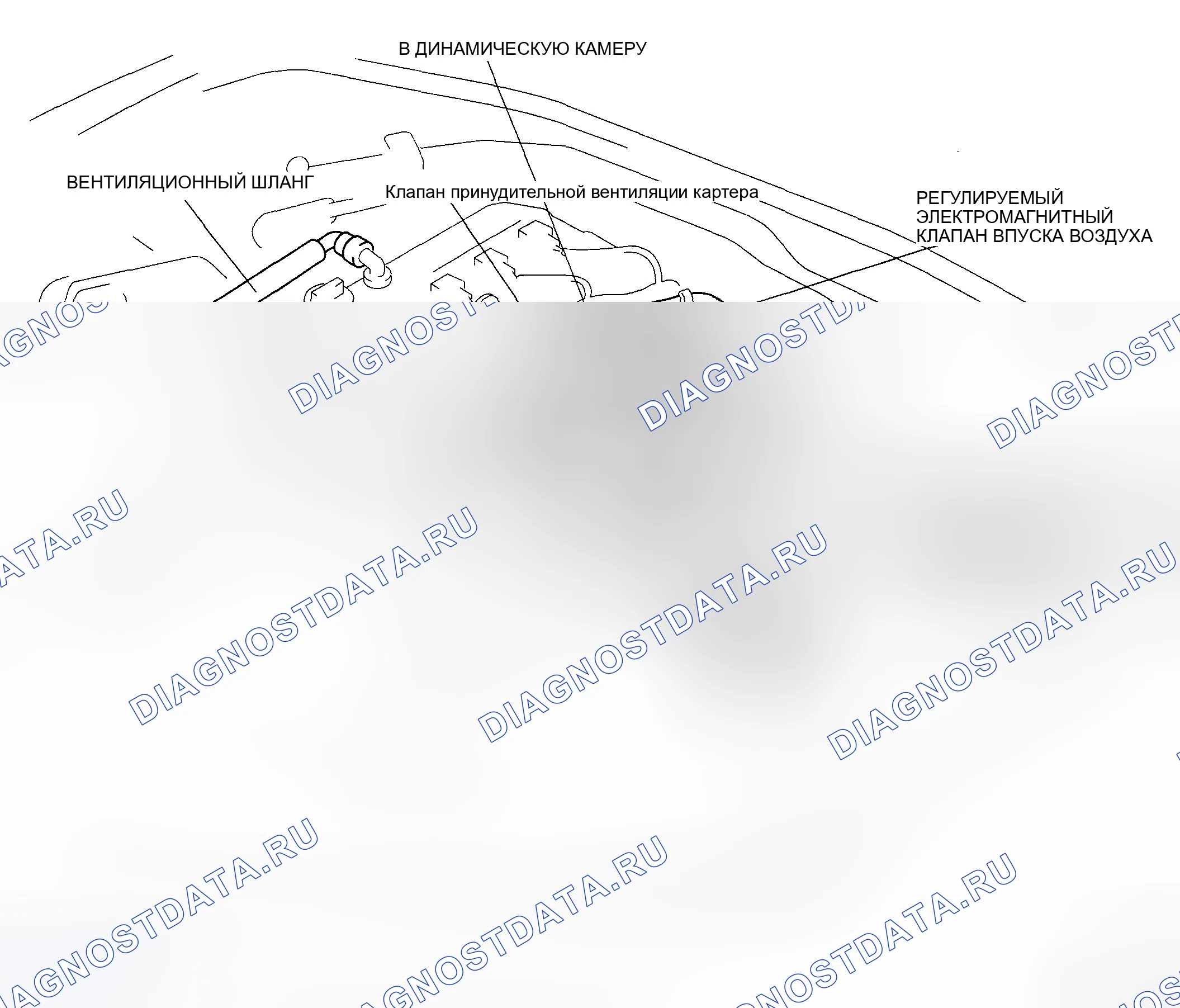 Рис. 141: СХЕМА ПРОКЛАДКИ ШЛАНГА СИСТЕМЫ ЗАБОРА ВОЗДУХА [Lf]. Mazda MX-5 NC рестайлинг