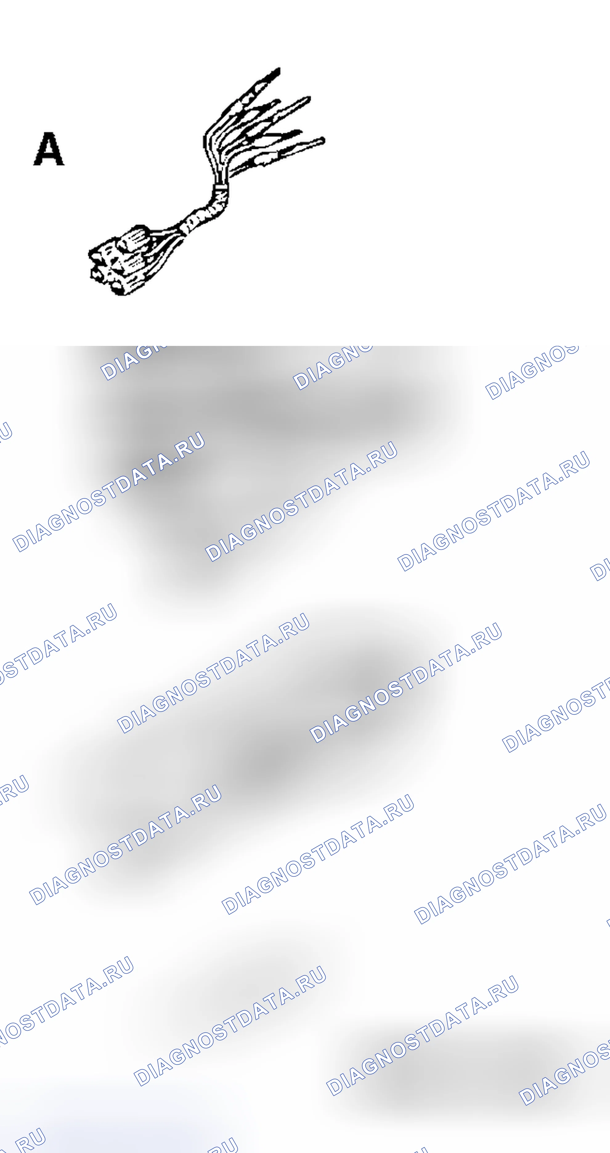 Рис. 162. Mitsubishi Endeavor I