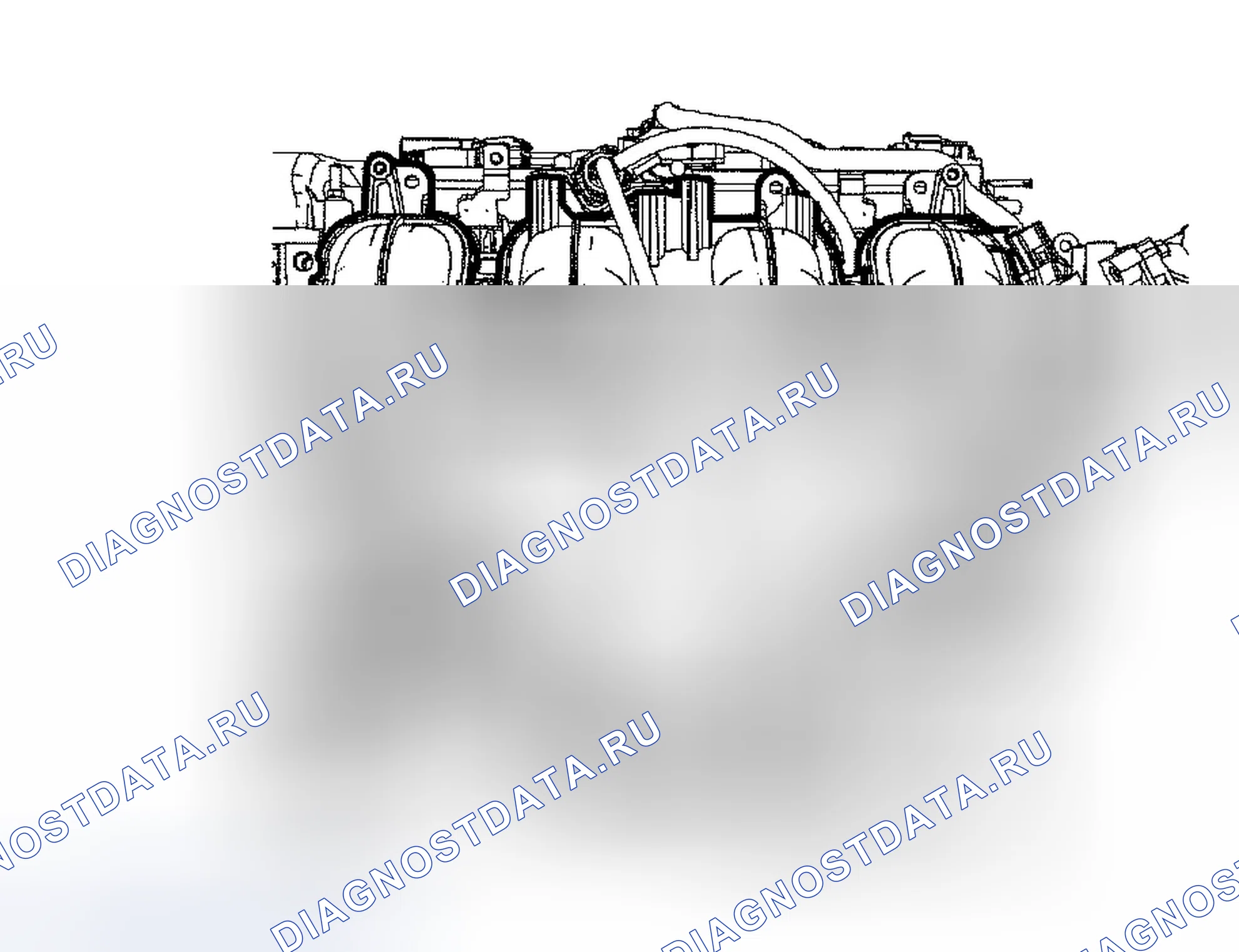 Рис. 203. Ford Escape I рестайлинг