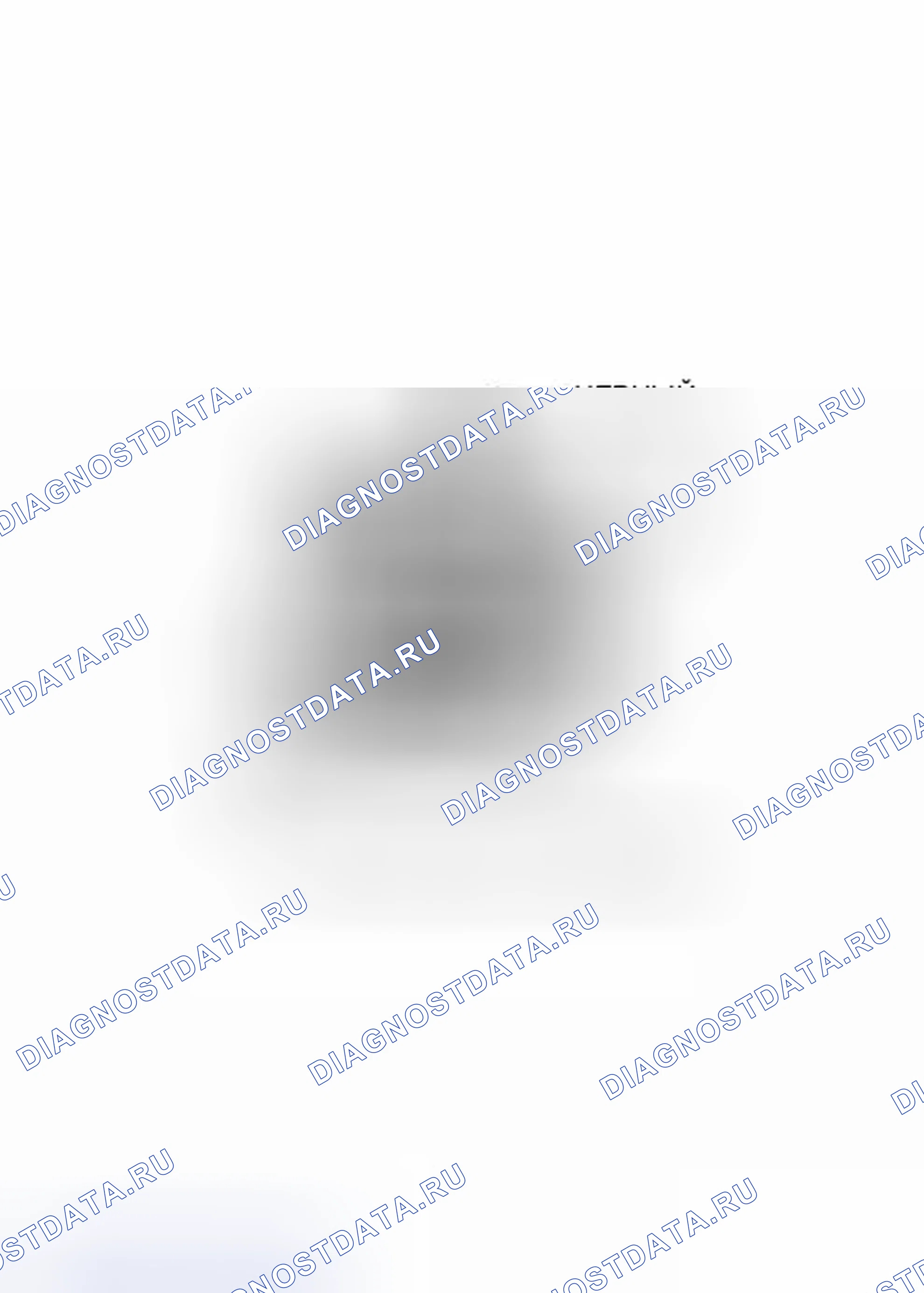 Рис. 124. Jeep Wrangler III