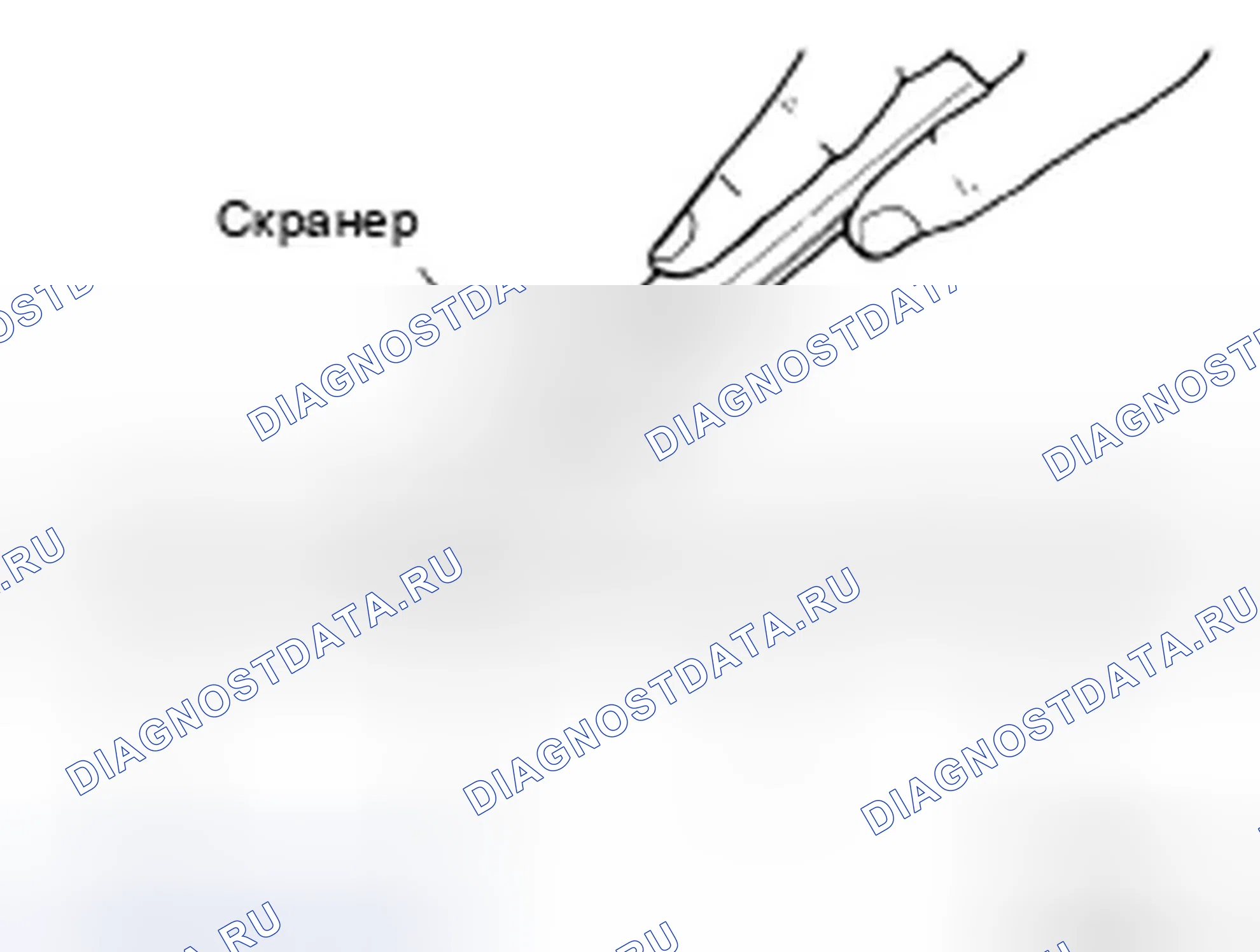 Рис. 89: ПРОЦЕДУРА УСТАНОВКИ ЖИДКОСТНОЙ ПРОКЛАДКИ. Infiniti FX35 I рестайлинг