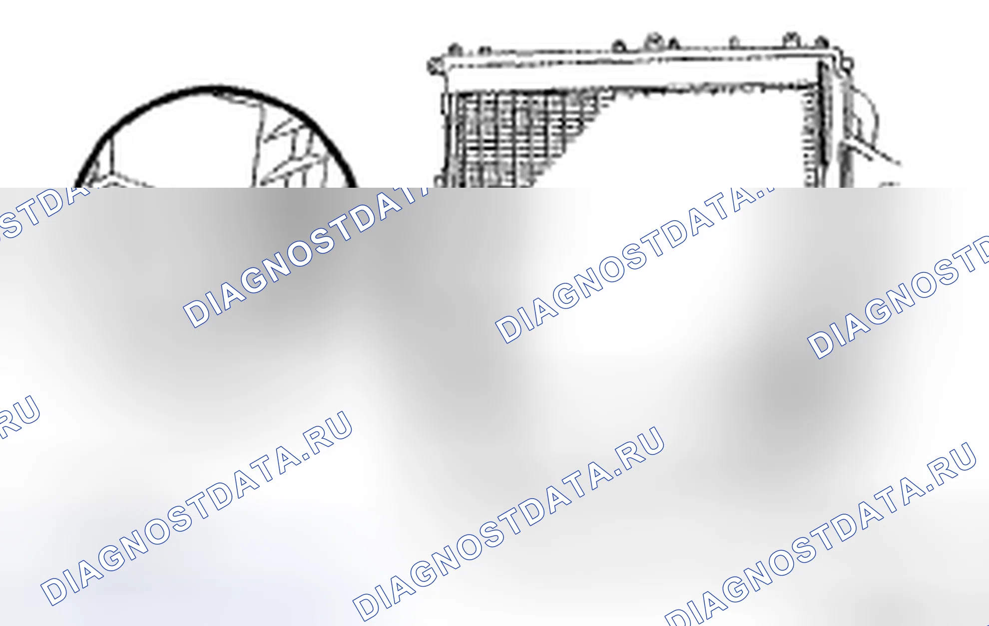Рис. 161. Toyota Camry XV40