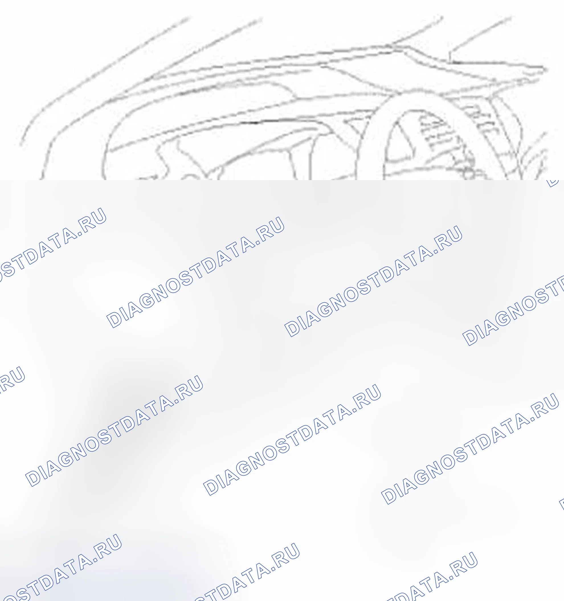 Рис. 1003: Как очистить коды неисправностей. Honda Civic IX