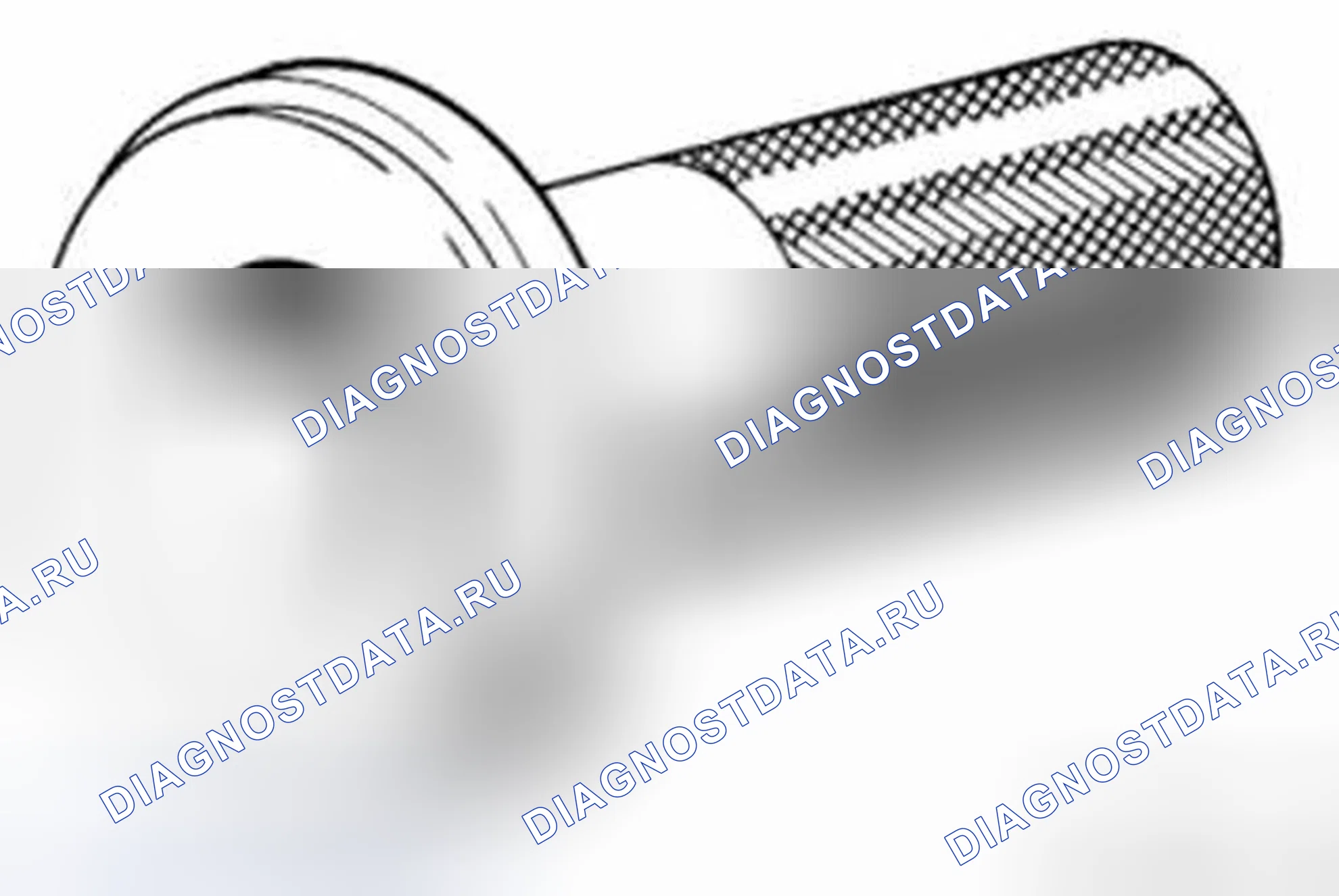 Рис. 211: 0491666 241100 Bush MW. BMW Z4 E89