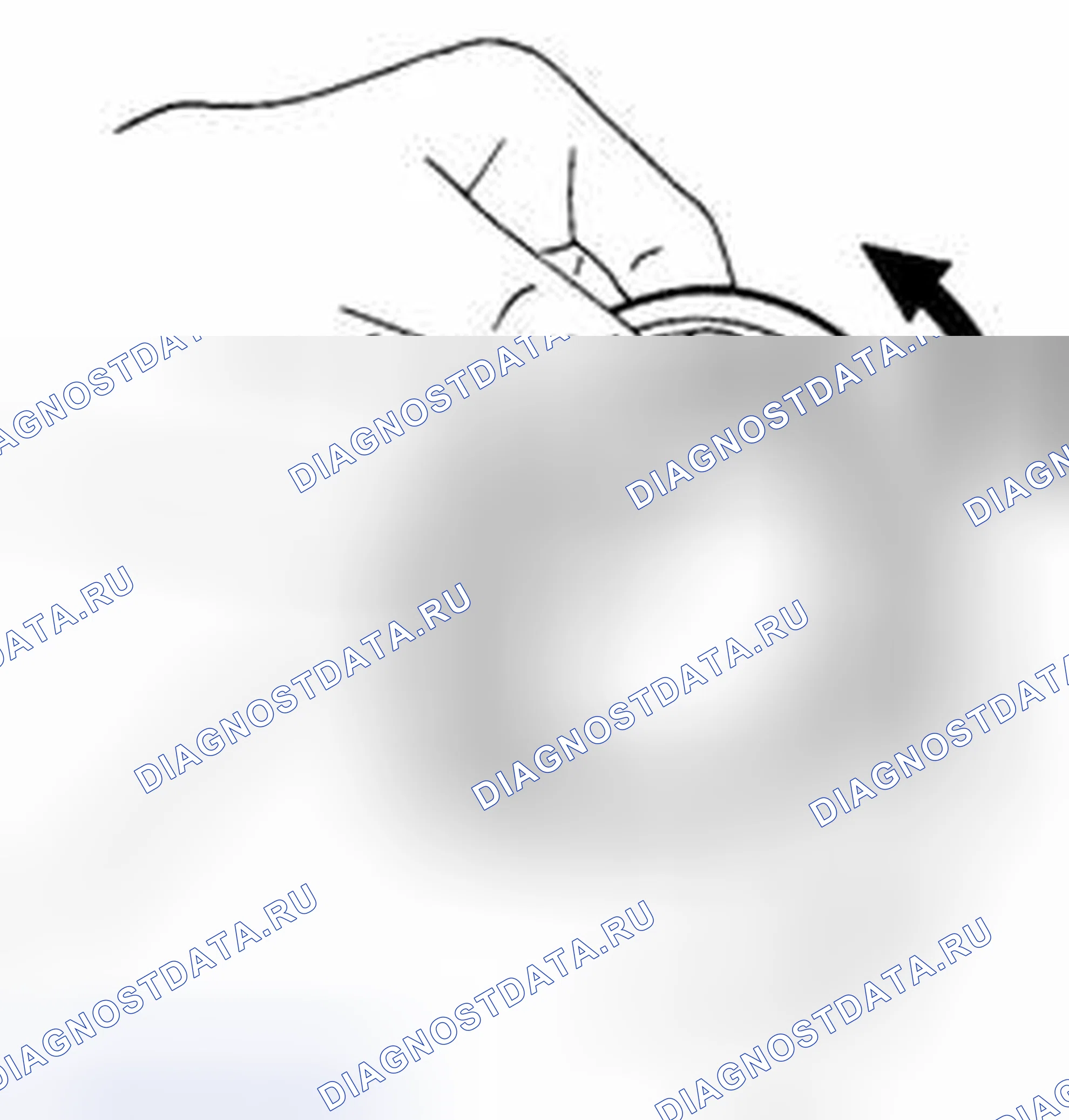 Рис. 194: Подшипник. Suzuki Equator I