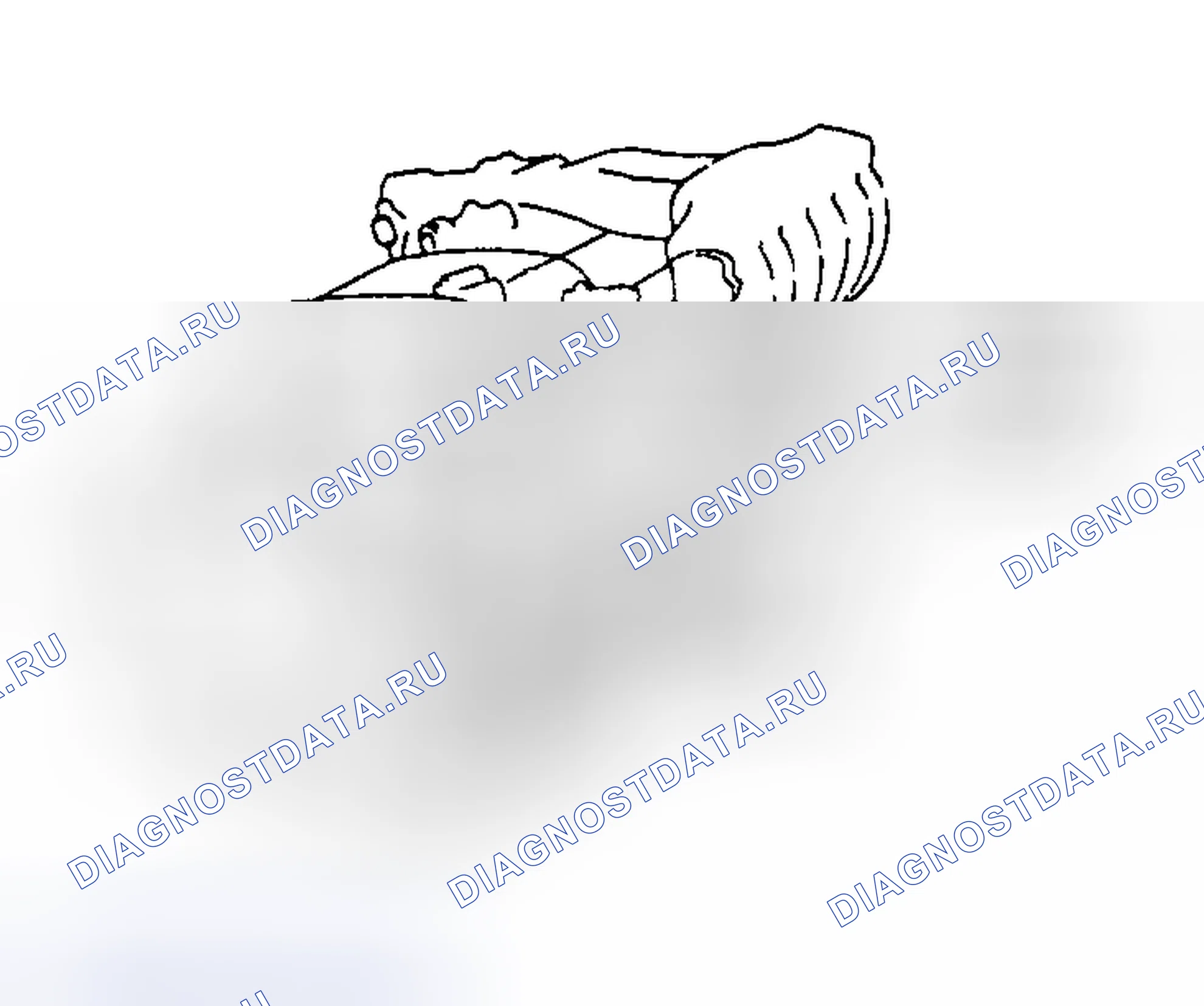 Рис. 11. Toyota Land Cruiser 70